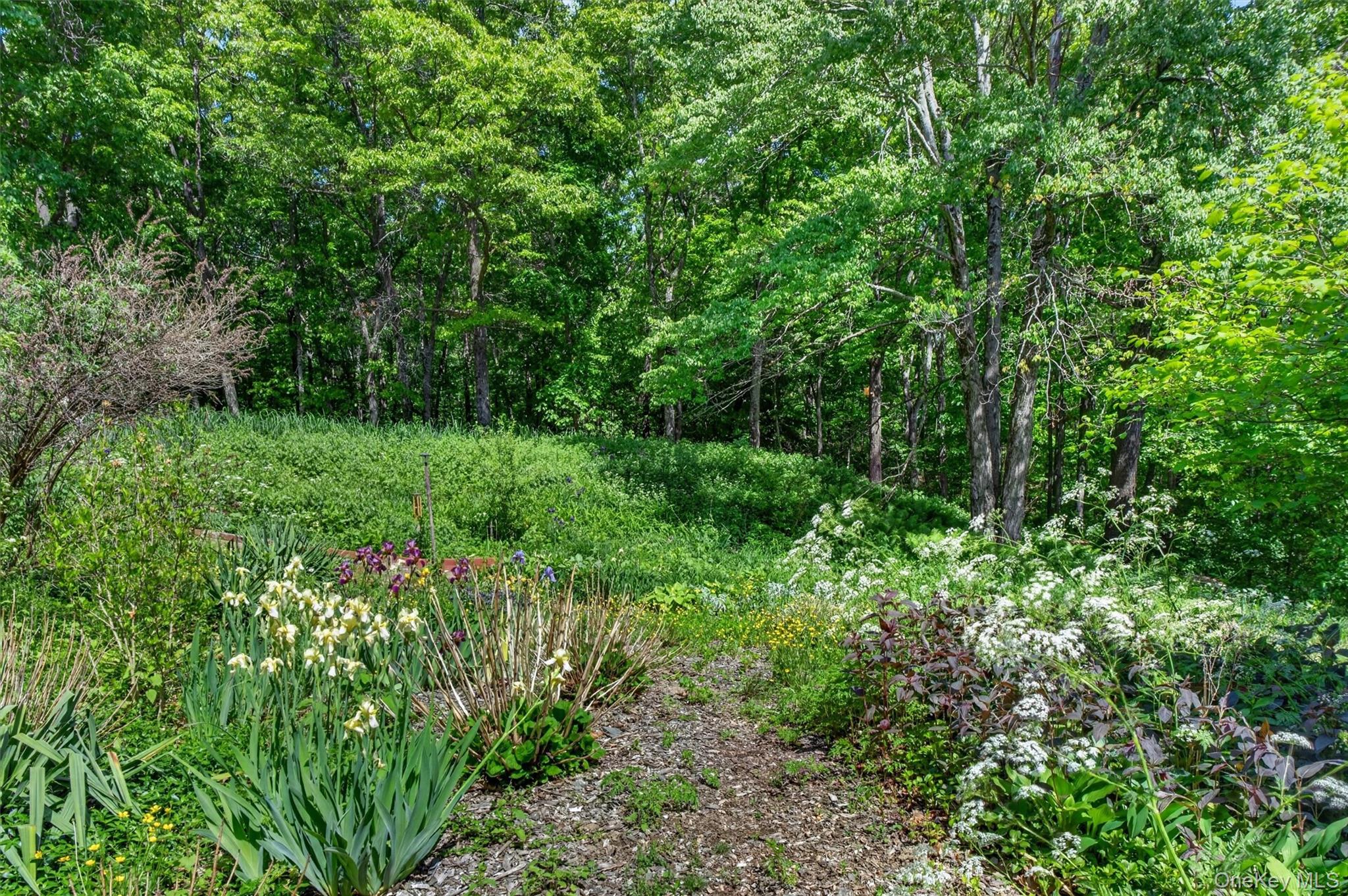 60 Eddy Road – For Sale photo 42