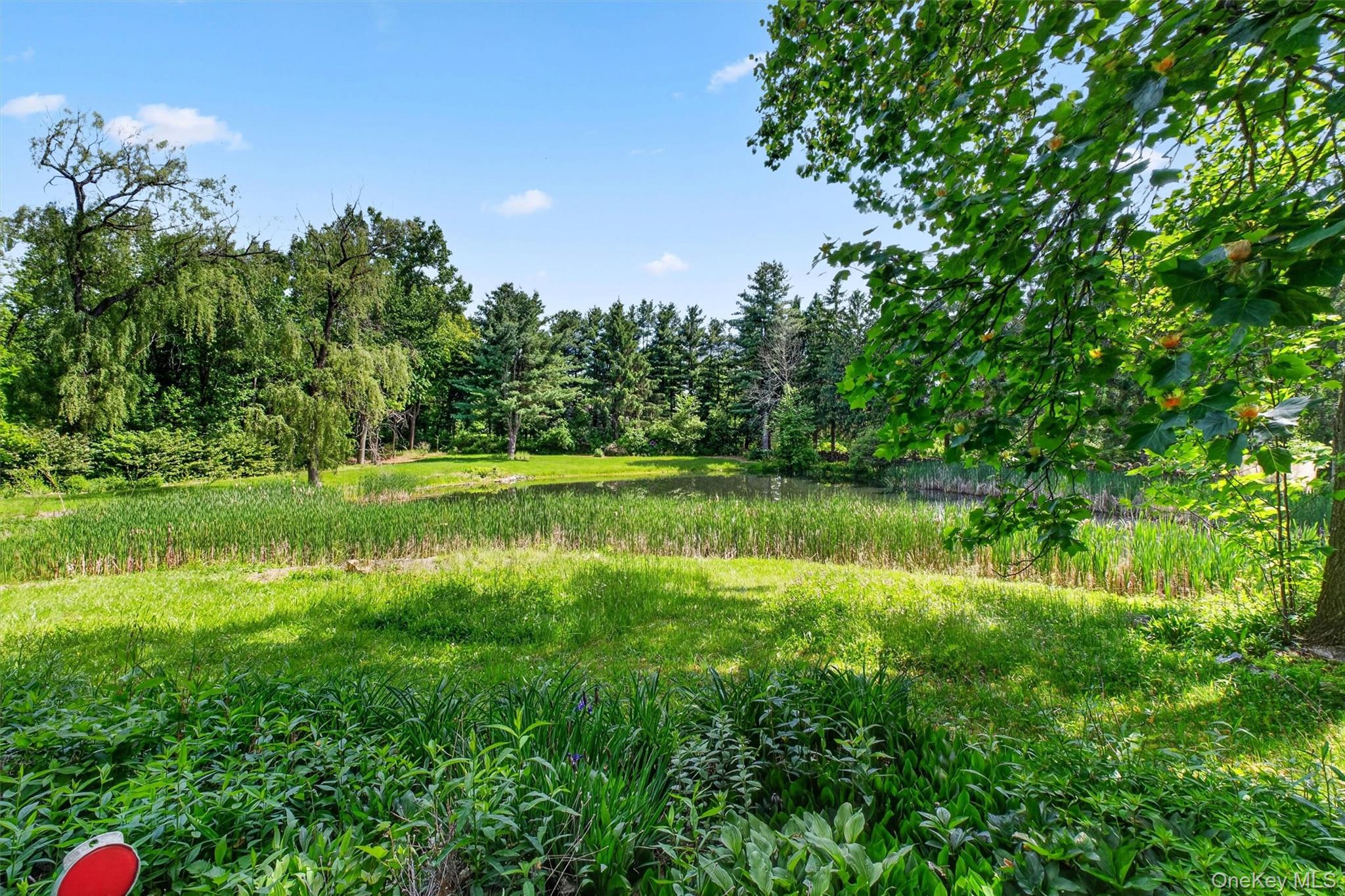 60 Eddy Road – For Sale photo 44