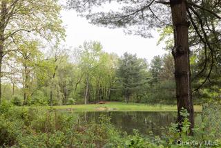 60 Eddy Road – For Sale photo 4