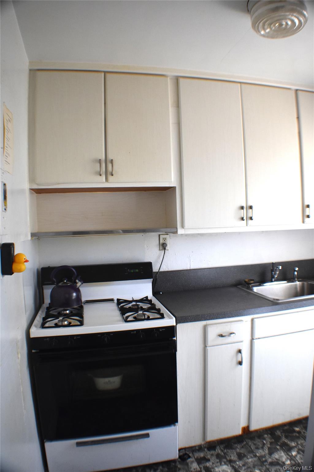 228-14 stronghurst Avenue, Unit 3113, Lowe photo 7