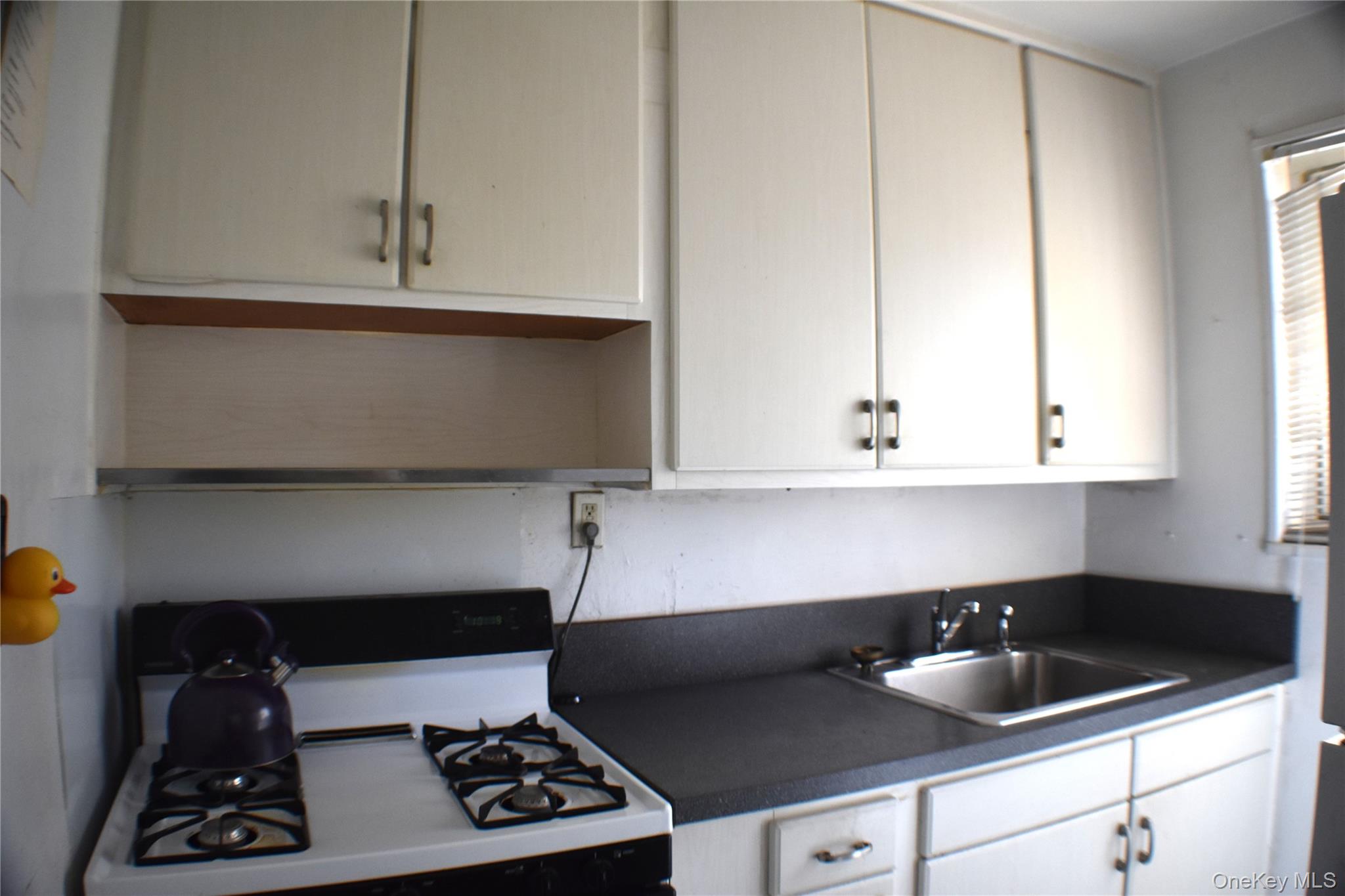 228-14 stronghurst Avenue, Unit 3113, Lowe photo 8