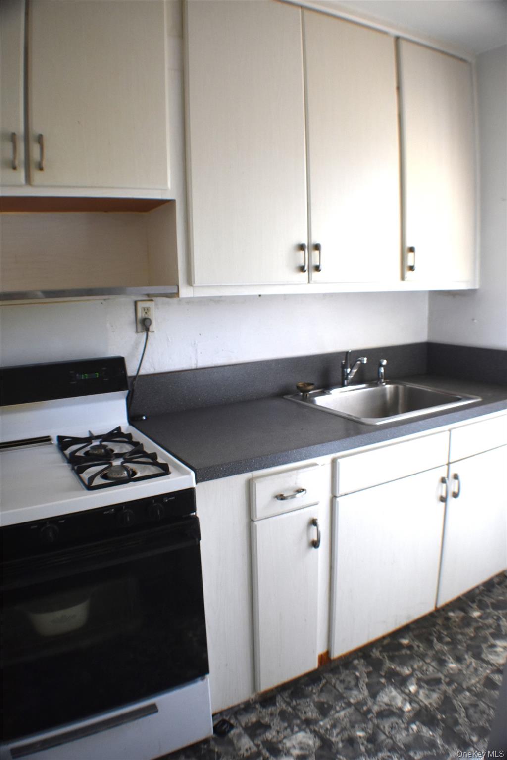 228-14 stronghurst Avenue, Unit 3113, Lowe photo 9
