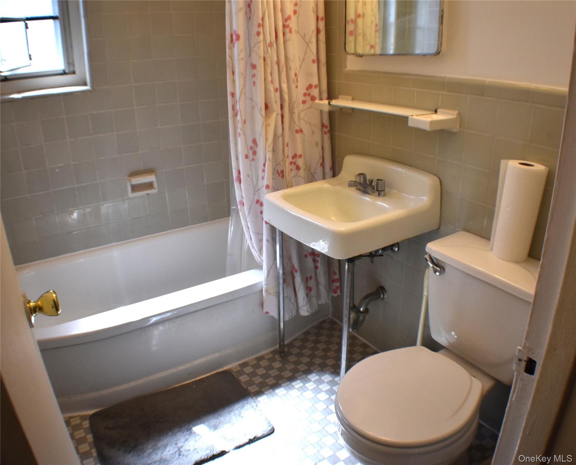 228-14 stronghurst Avenue, Unit 3113, Lowe photo 19
