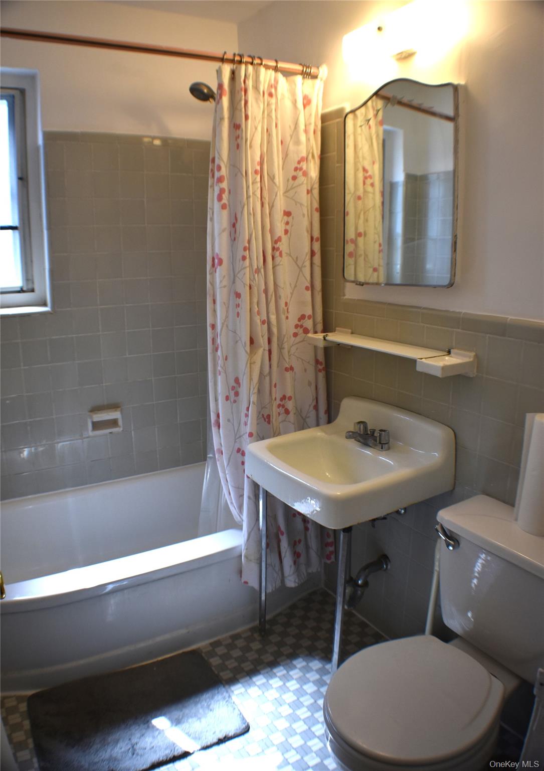 228-14 stronghurst Avenue, Unit 3113, Lowe photo 17