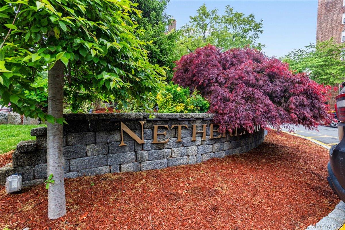 5645 Netherland Avenue, Unit 5C photo 19