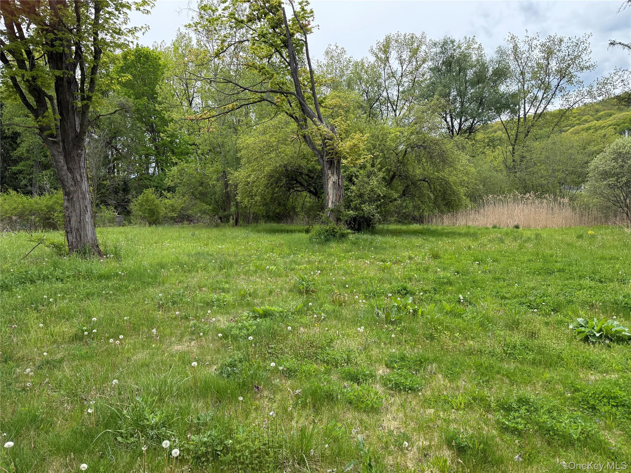 5282 Route 44 – For Sale photo 6