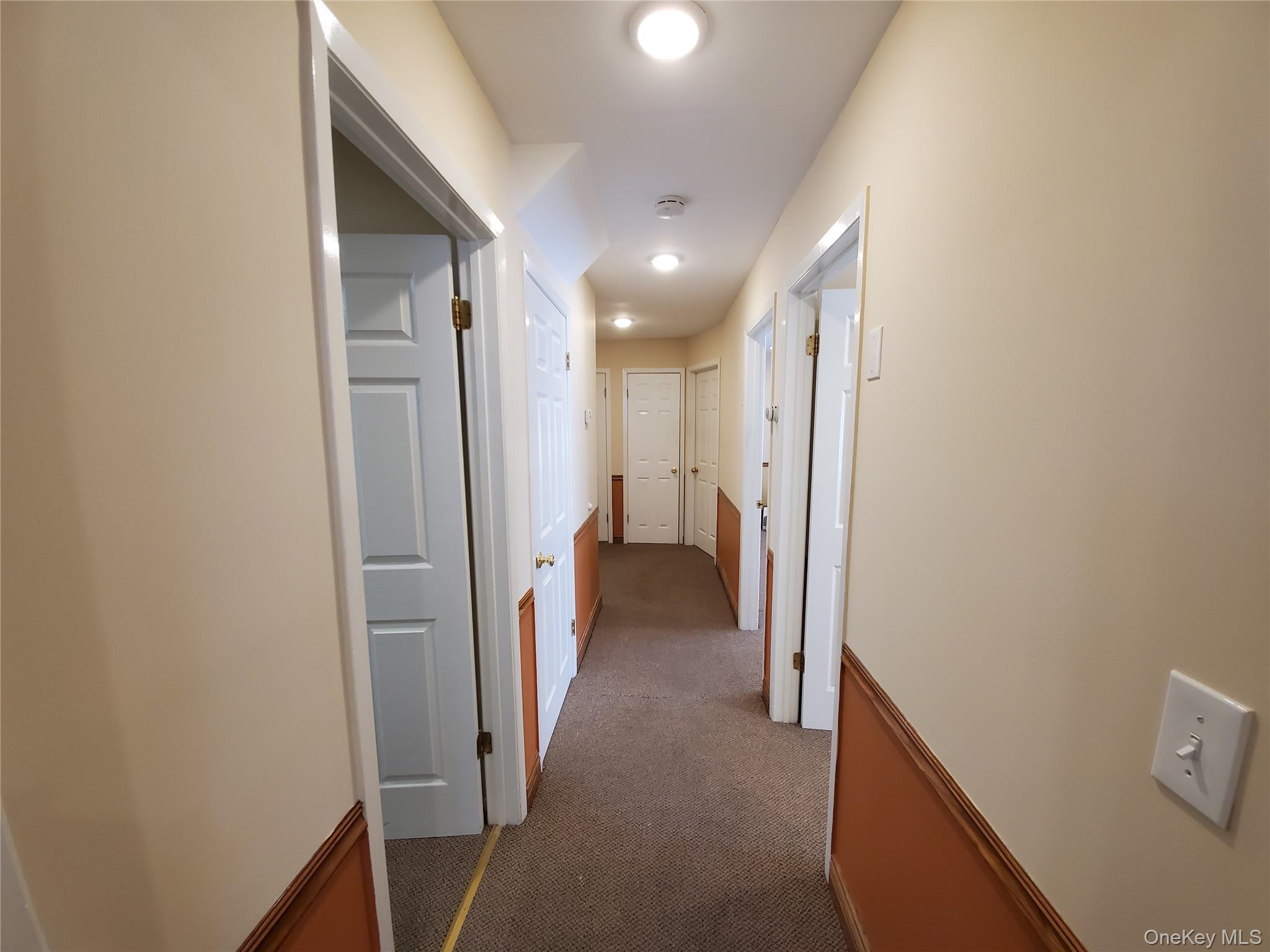 122 Forest Avenue, Unit Rear photo 7