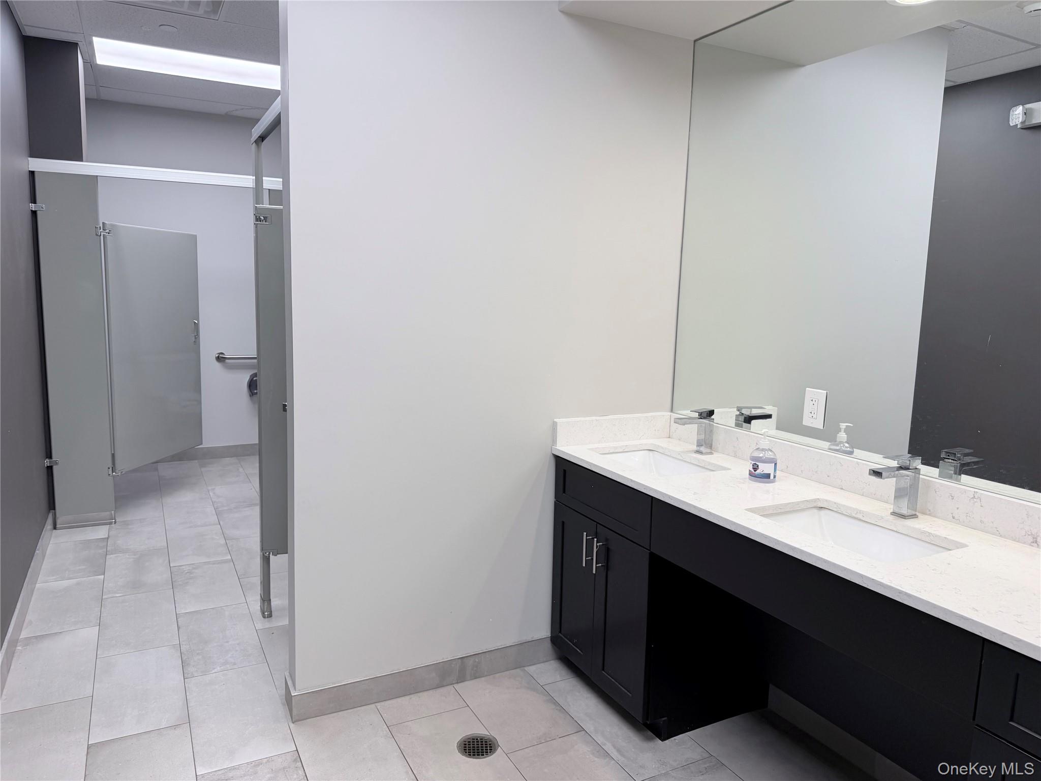 6801 Jericho Turnpike, Unit 210 photo 9