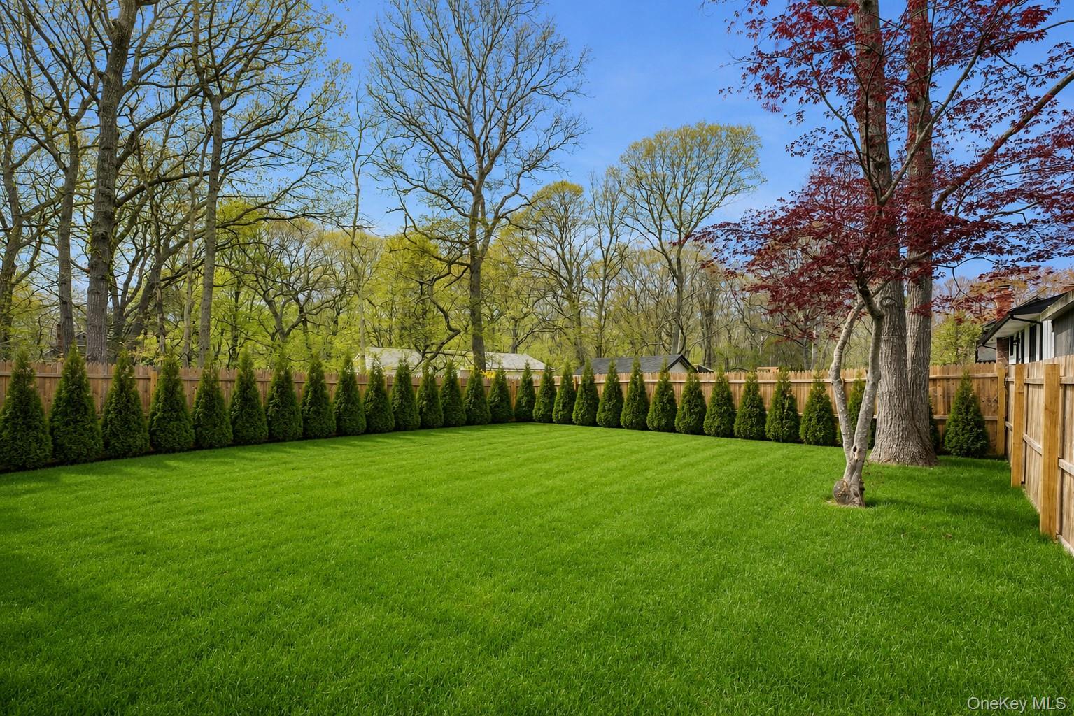50 Squires Avenue – For Sale photo 5