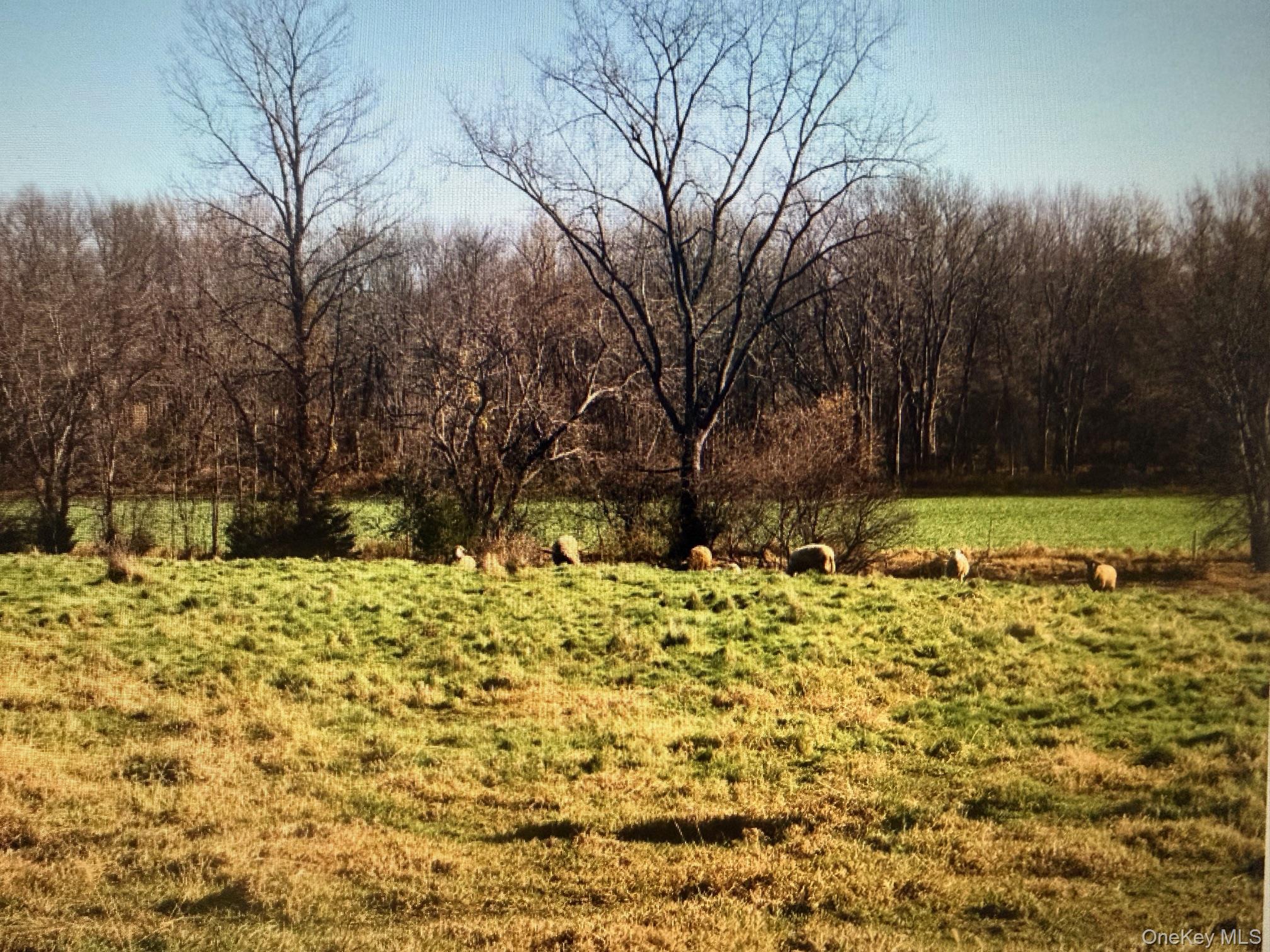 00 Spook Rock Road – For Sale photo 14