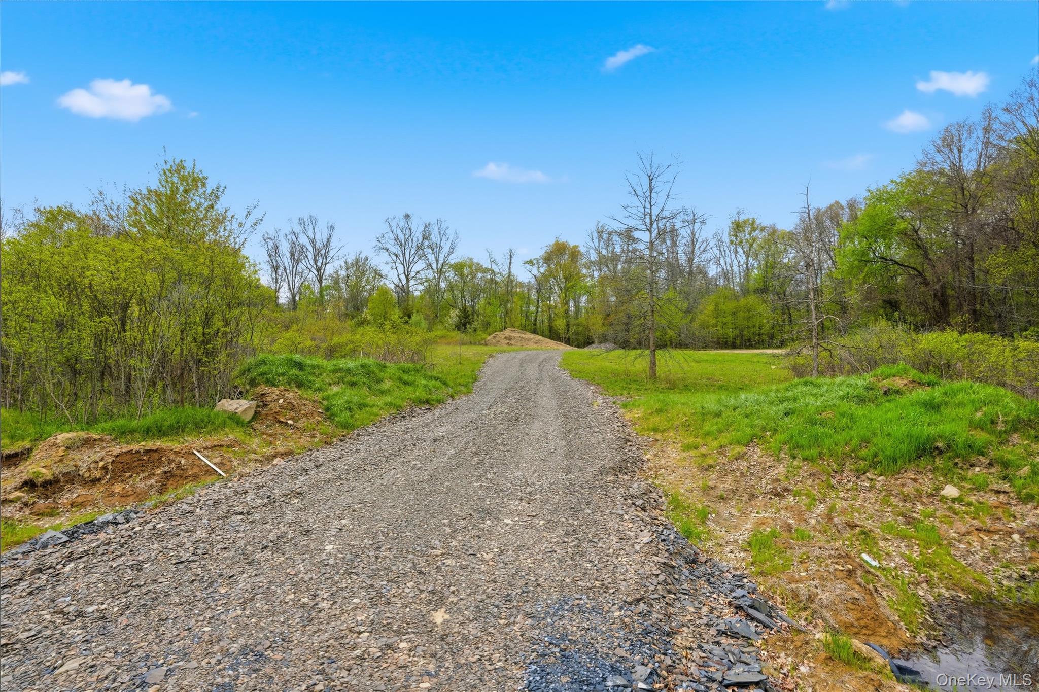7 Scenic Meadow Drive – For Sale photo 5