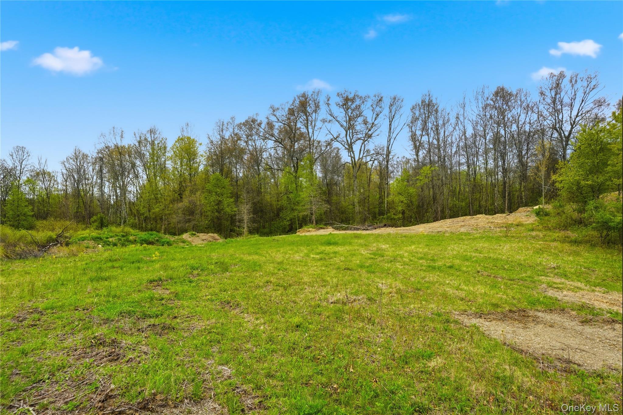 7 Scenic Meadow Drive – For Sale photo 6