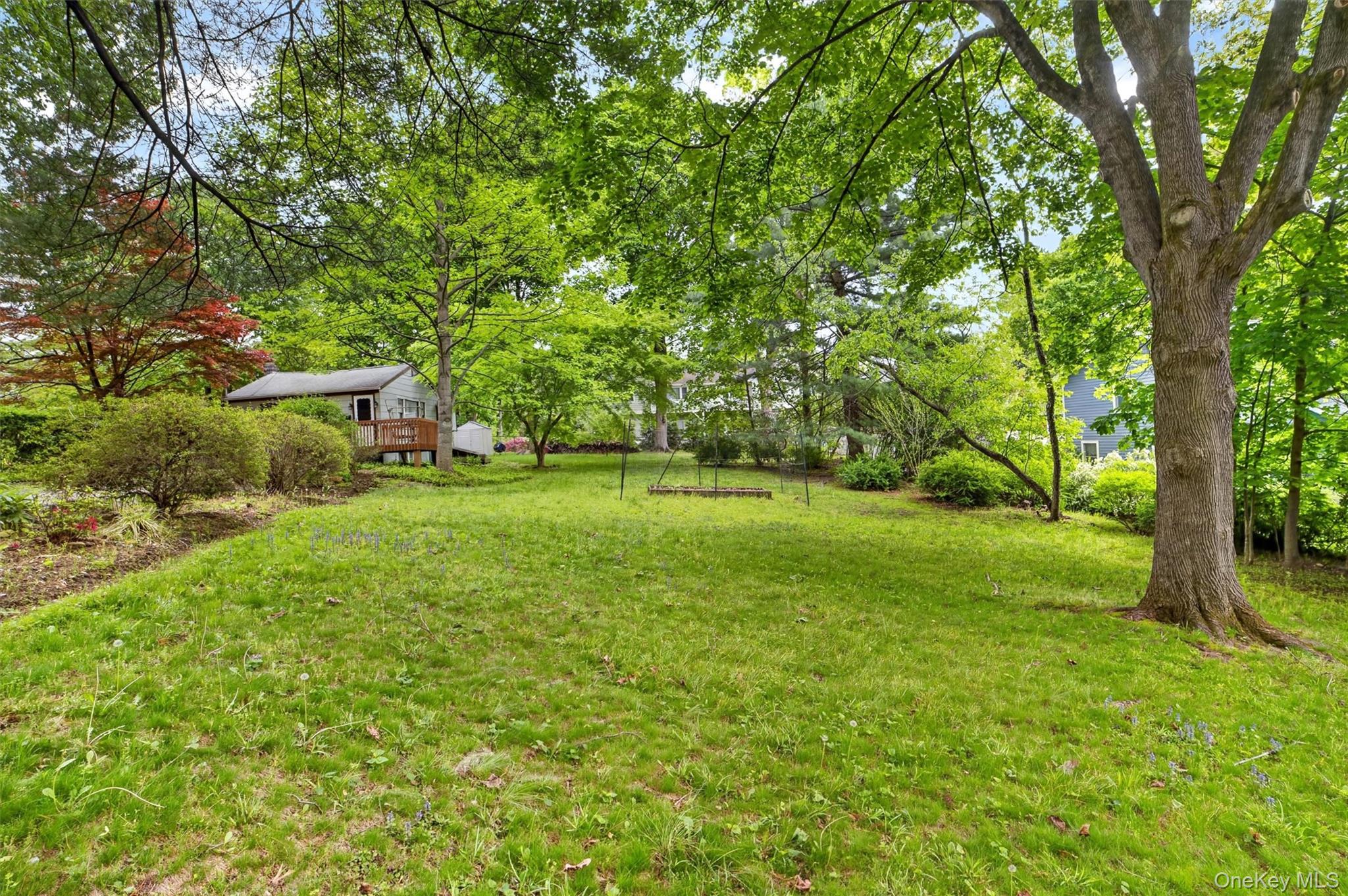 10 Mount Green Road – For Sale photo 18
