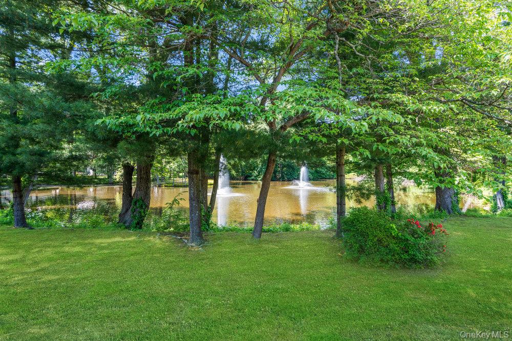 41 E View Court – For Sale photo 39