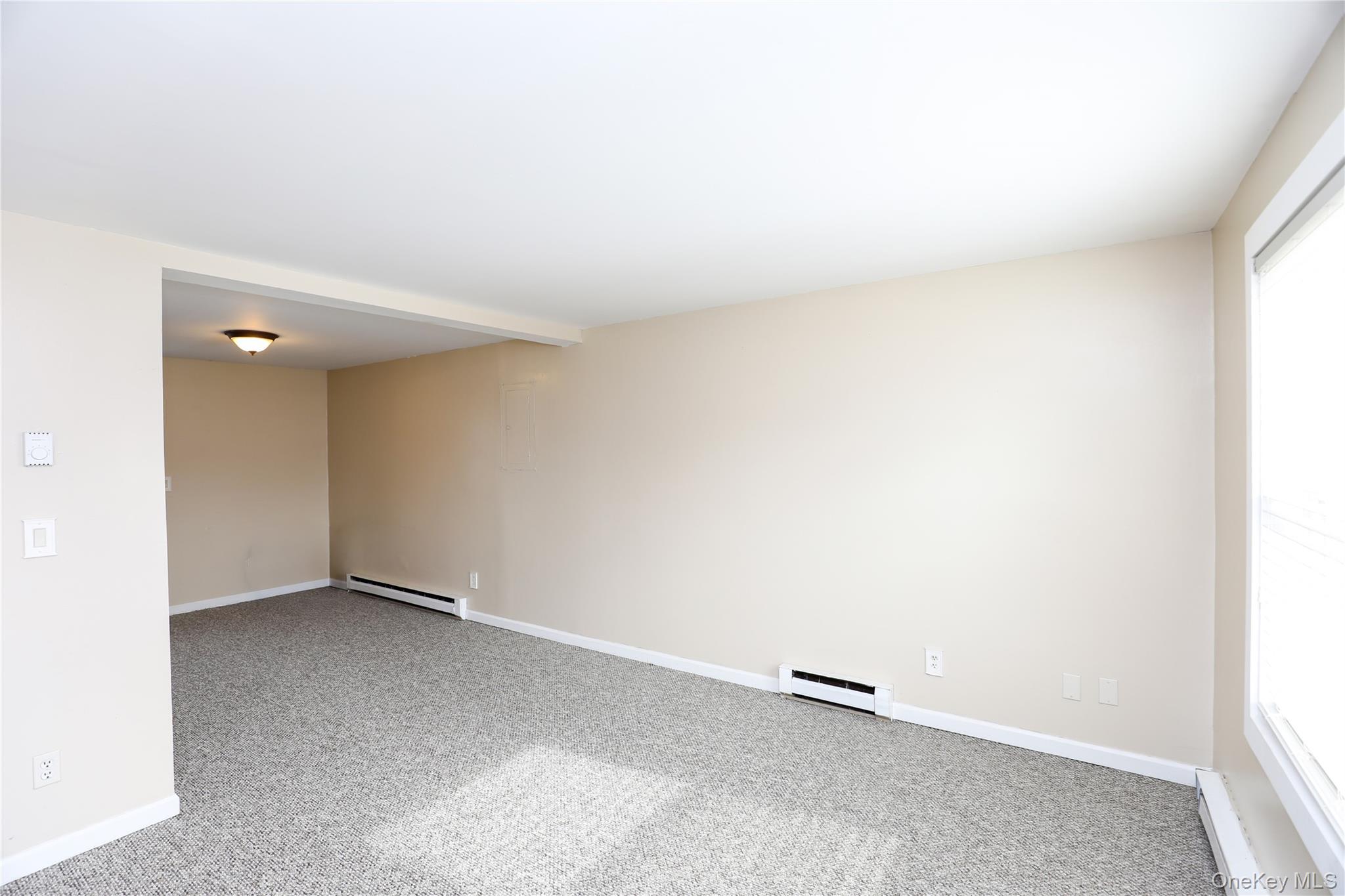 120 Hinsdale Street, Unit 1 photo 11