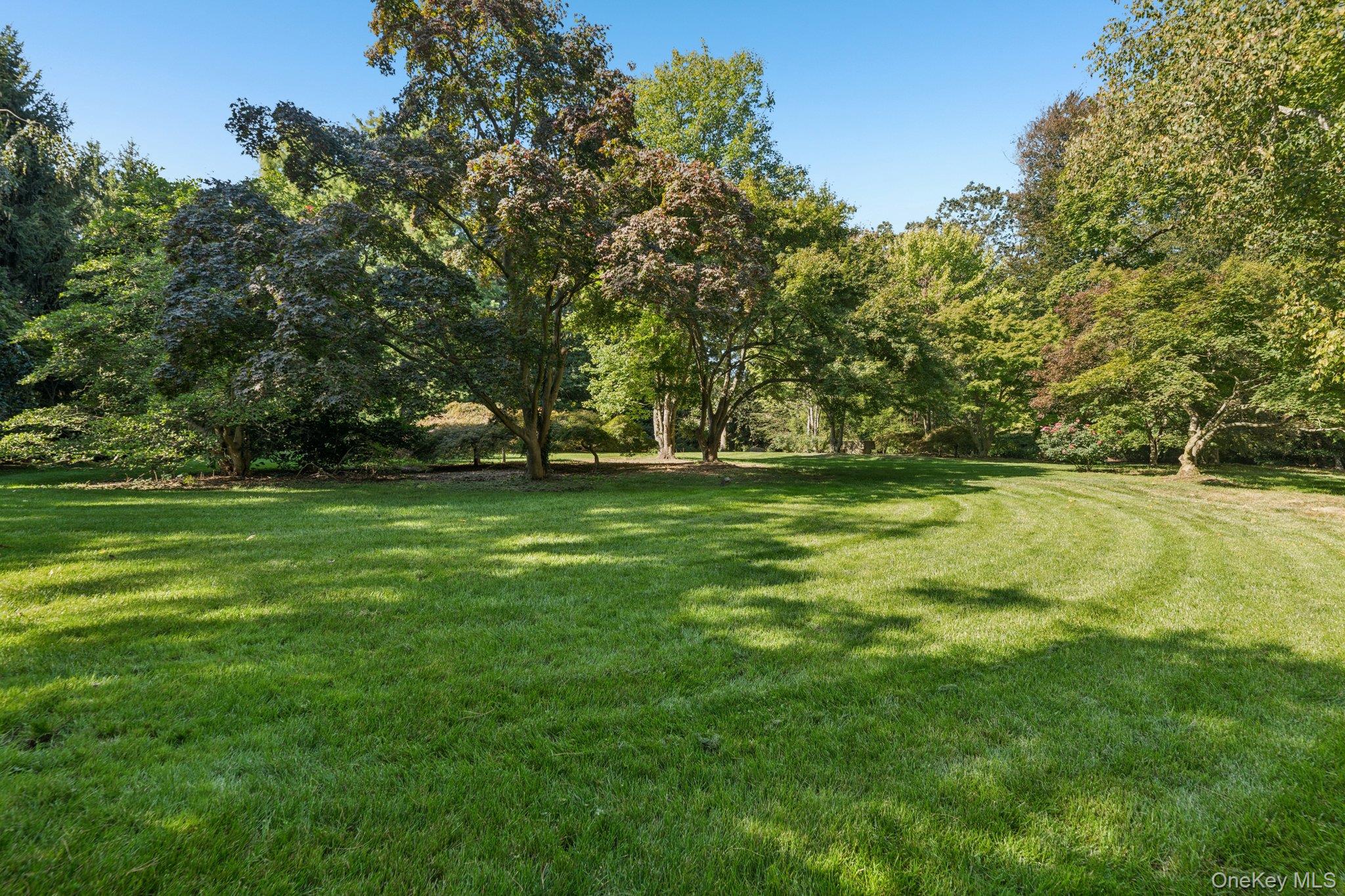 18 Heights Road – For Rent photo 3