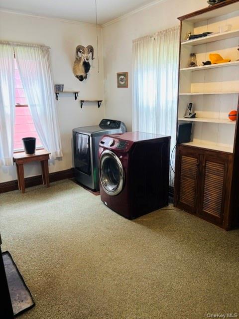 7786 S Main Street – For Sale photo 19