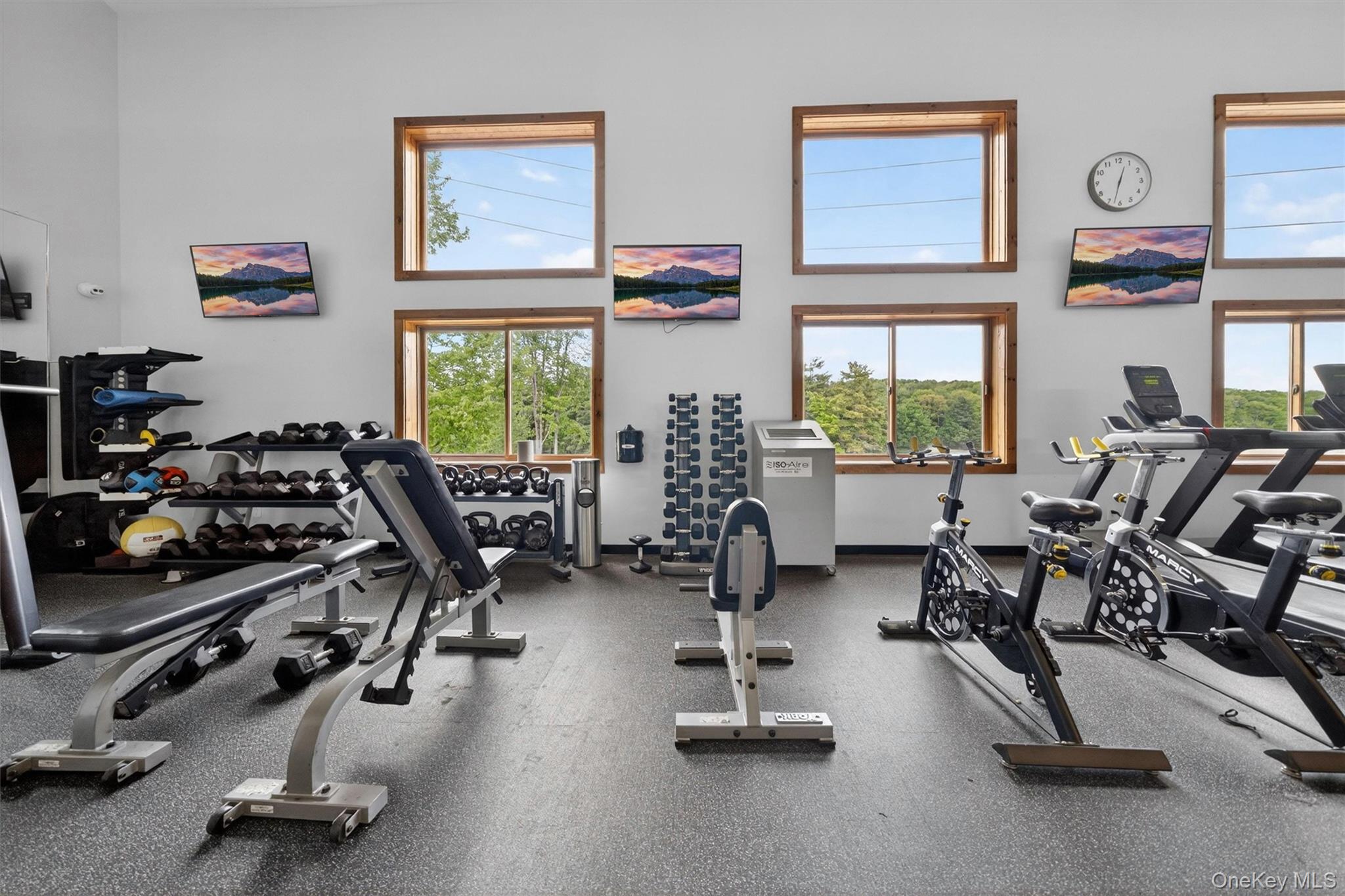 117 Lake Shore Drive W – For Sale photo 37