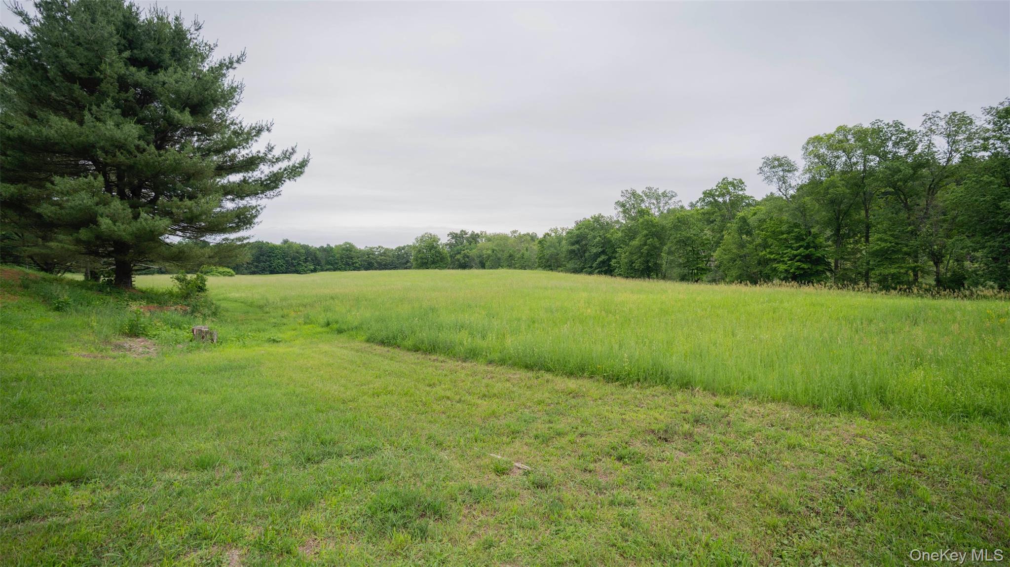 334 Lake Drive – For Sale photo 27