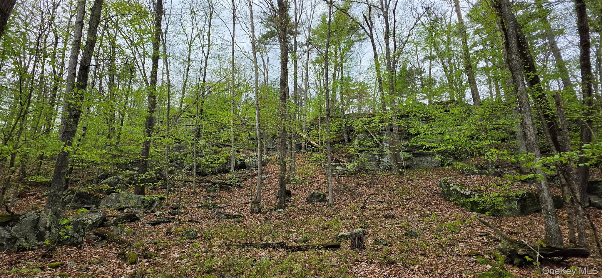Lot 23.21 State Route 97 – For Sale photo 16