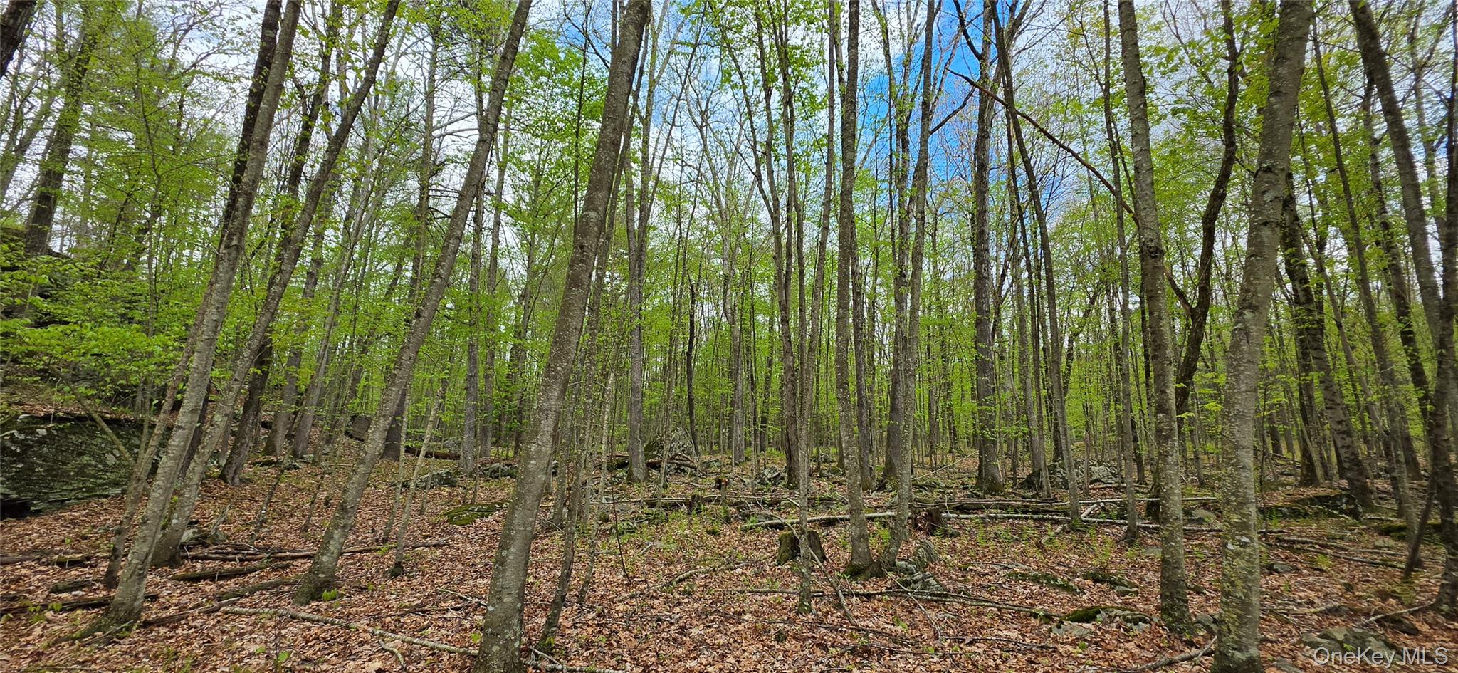 Lot 23.21 State Route 97 – For Sale photo 18