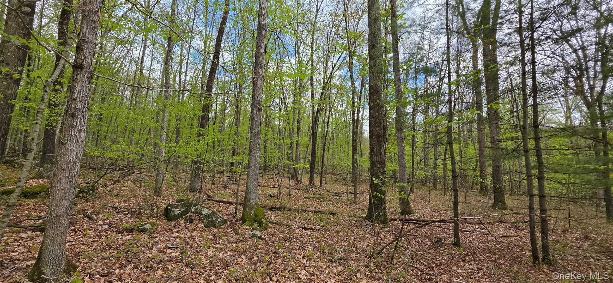 Lot 23.21 State Route 97 – For Sale photo 8