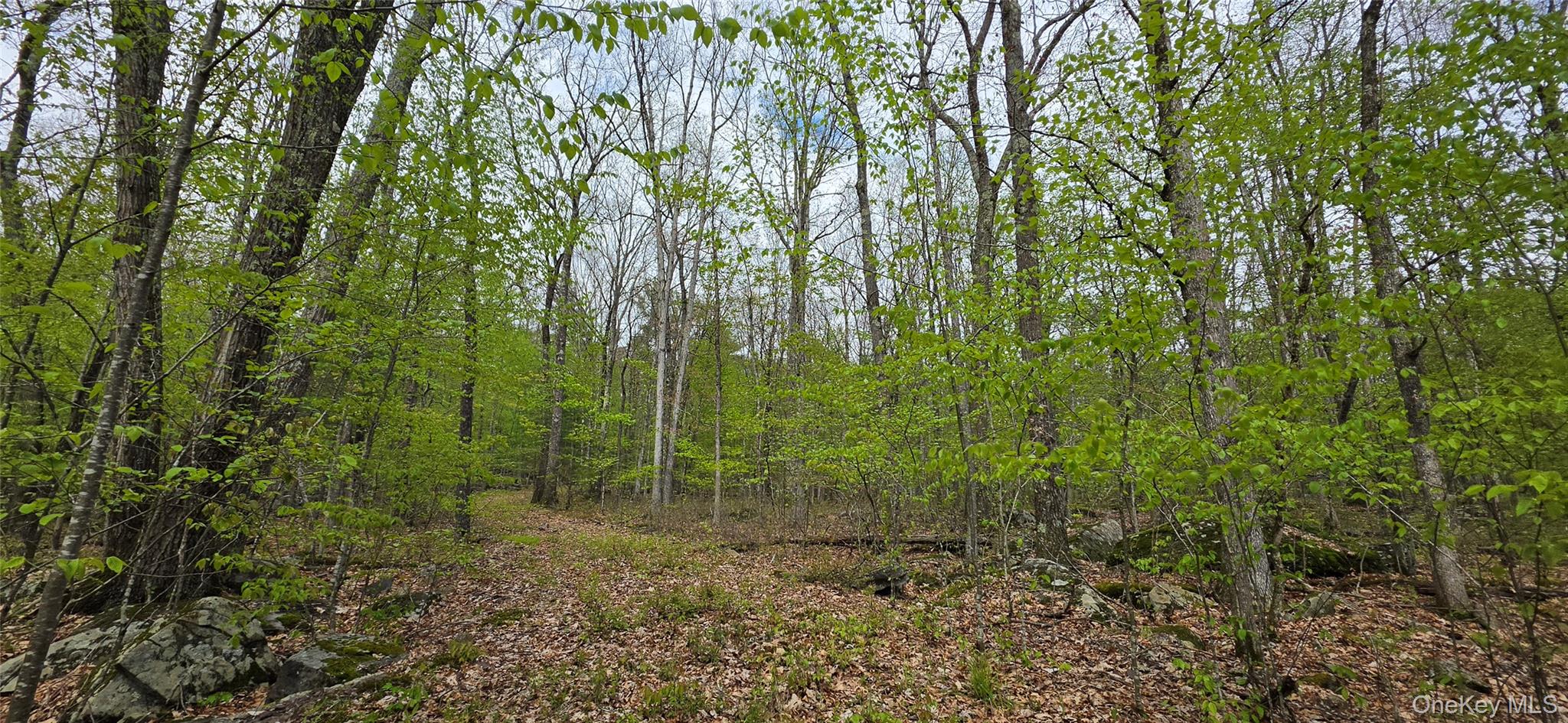 Lot 23.21 State Route 97 – For Sale photo 5