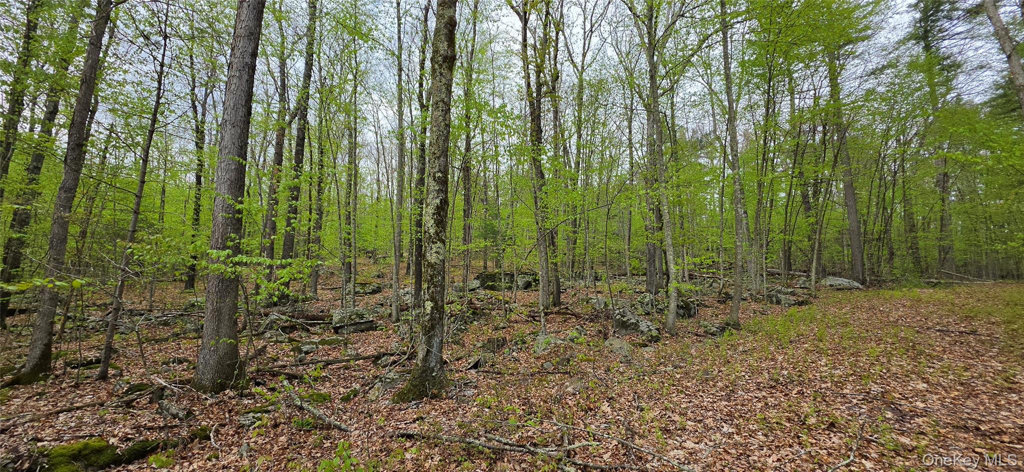 Lot 23.21 State Route 97 – For Sale photo 7