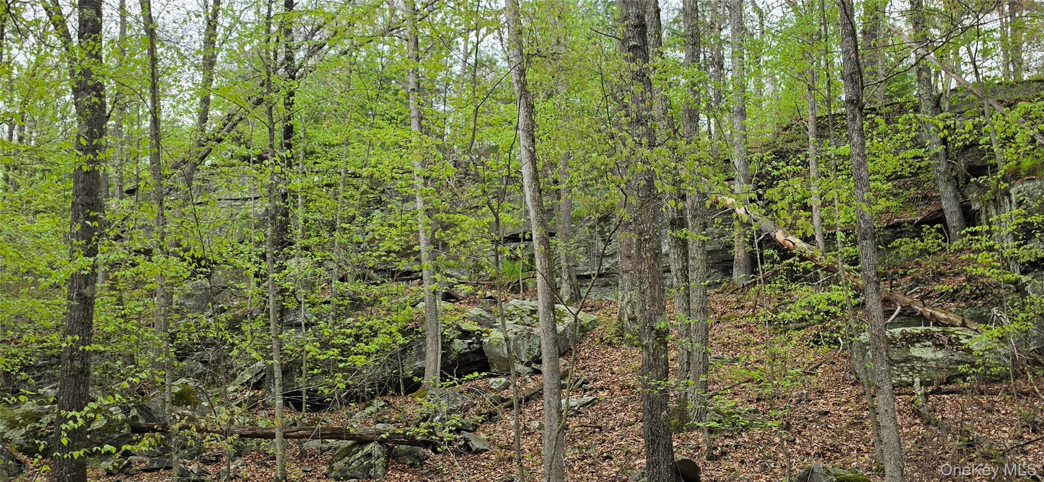 Lot 23.21 State Route 97 – For Sale photo 15