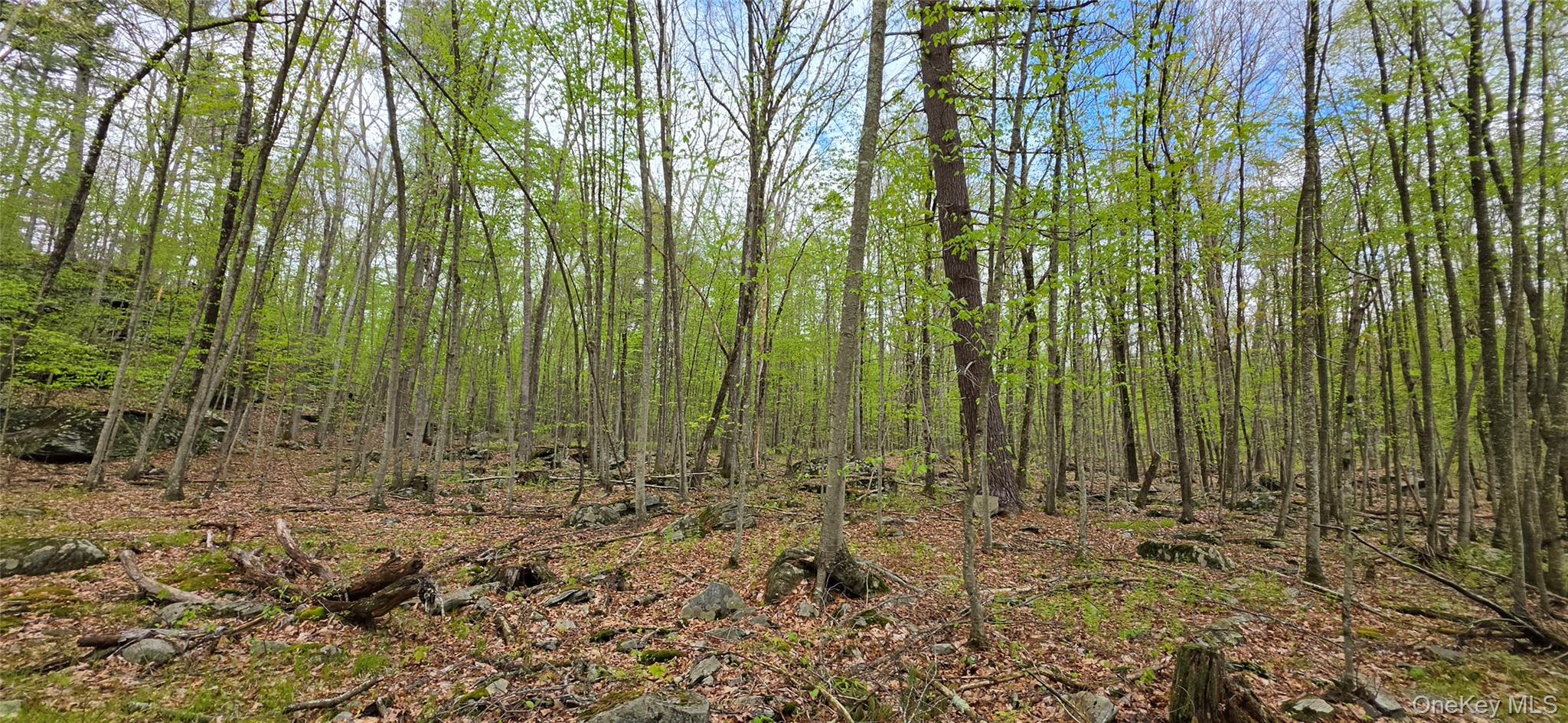 Lot 23.21 State Route 97 – For Sale photo 13
