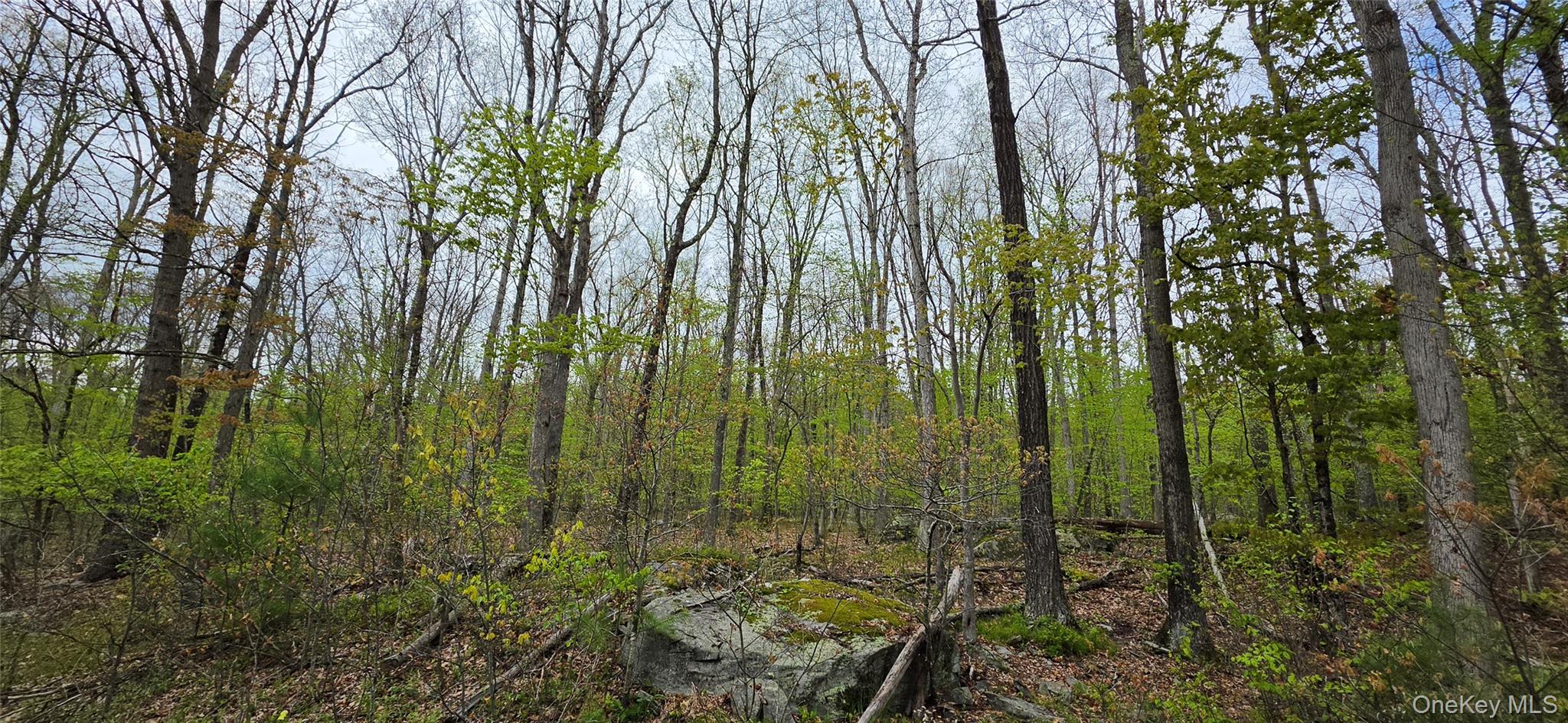 Lot 23.21 State Route 97 – For Sale photo 24