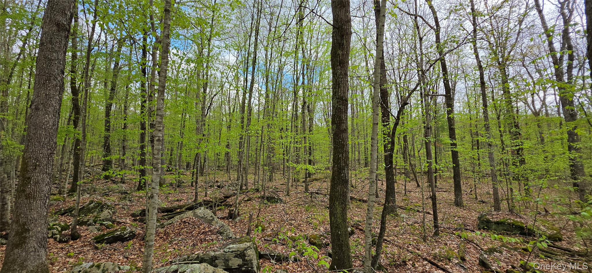 Lot 23.21 State Route 97 – For Sale photo 11