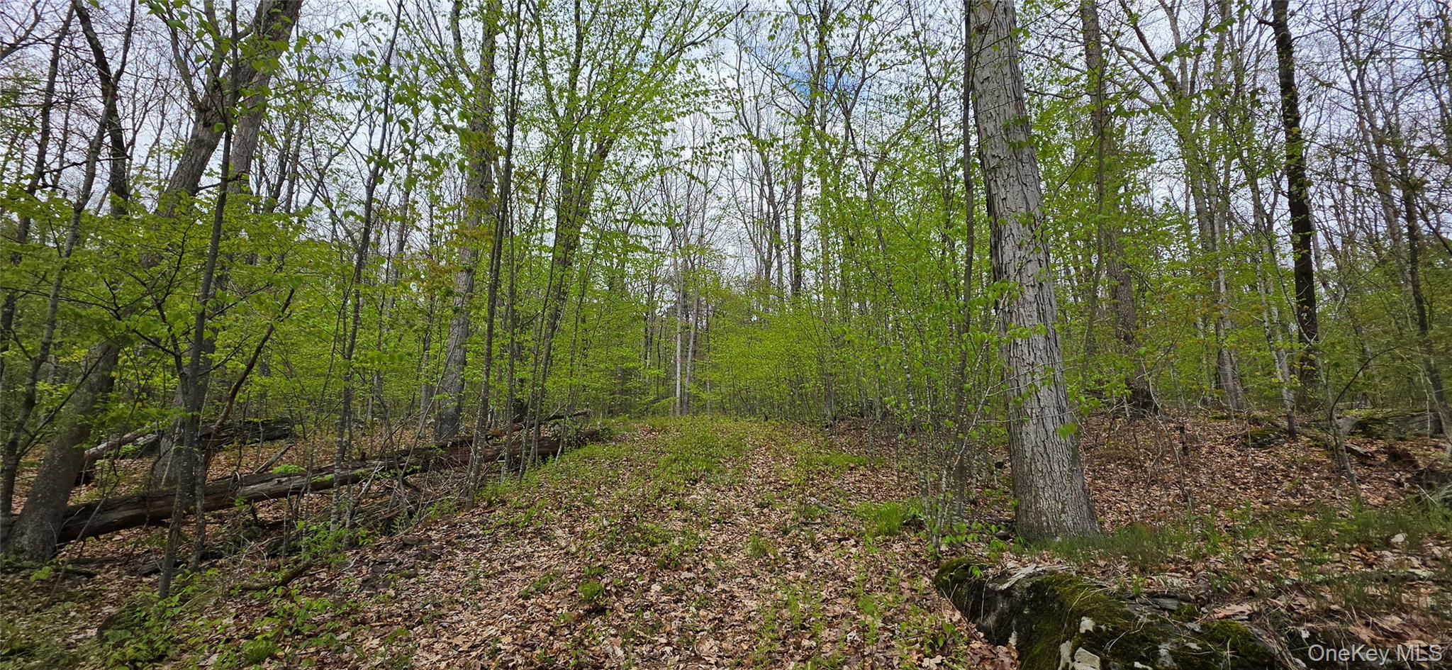 Lot 23.21 State Route 97 – For Sale photo 4