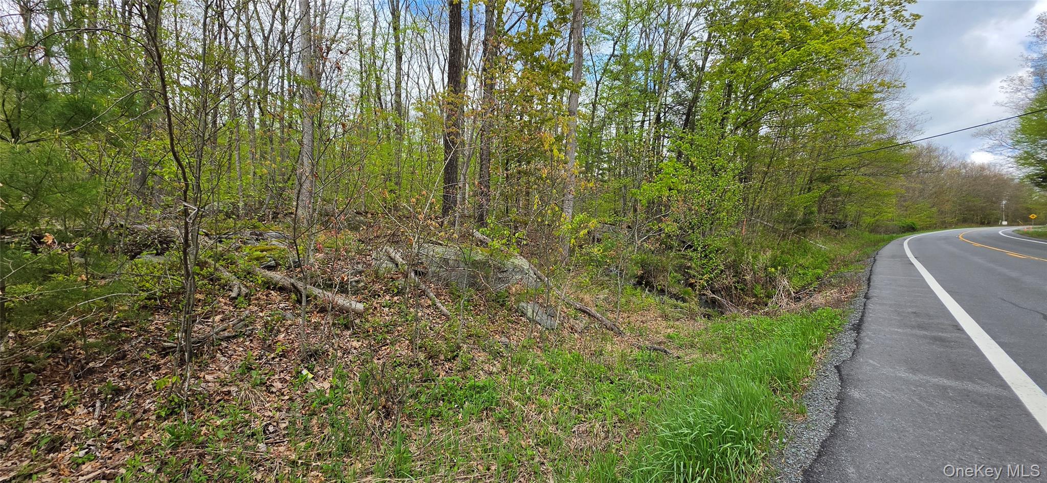 Lot 23.21 State Route 97 – For Sale photo 27