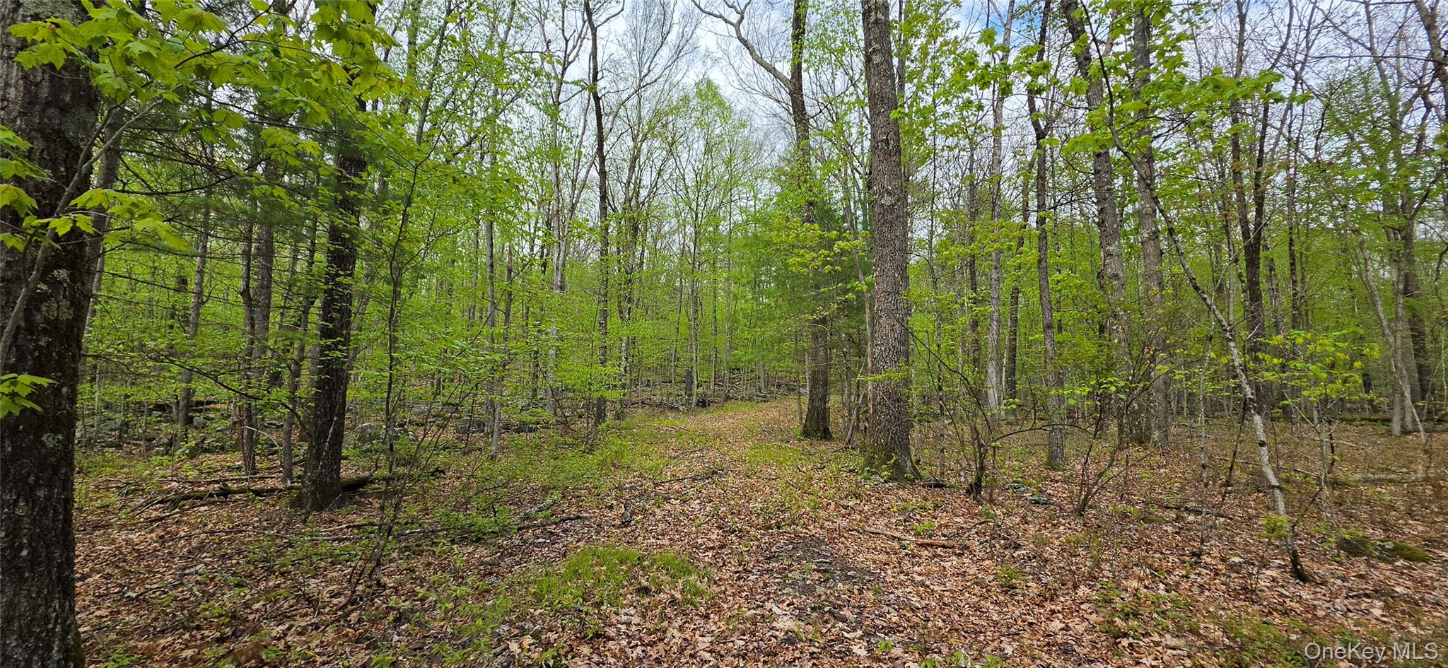 Lot 23.21 State Route 97 – For Sale