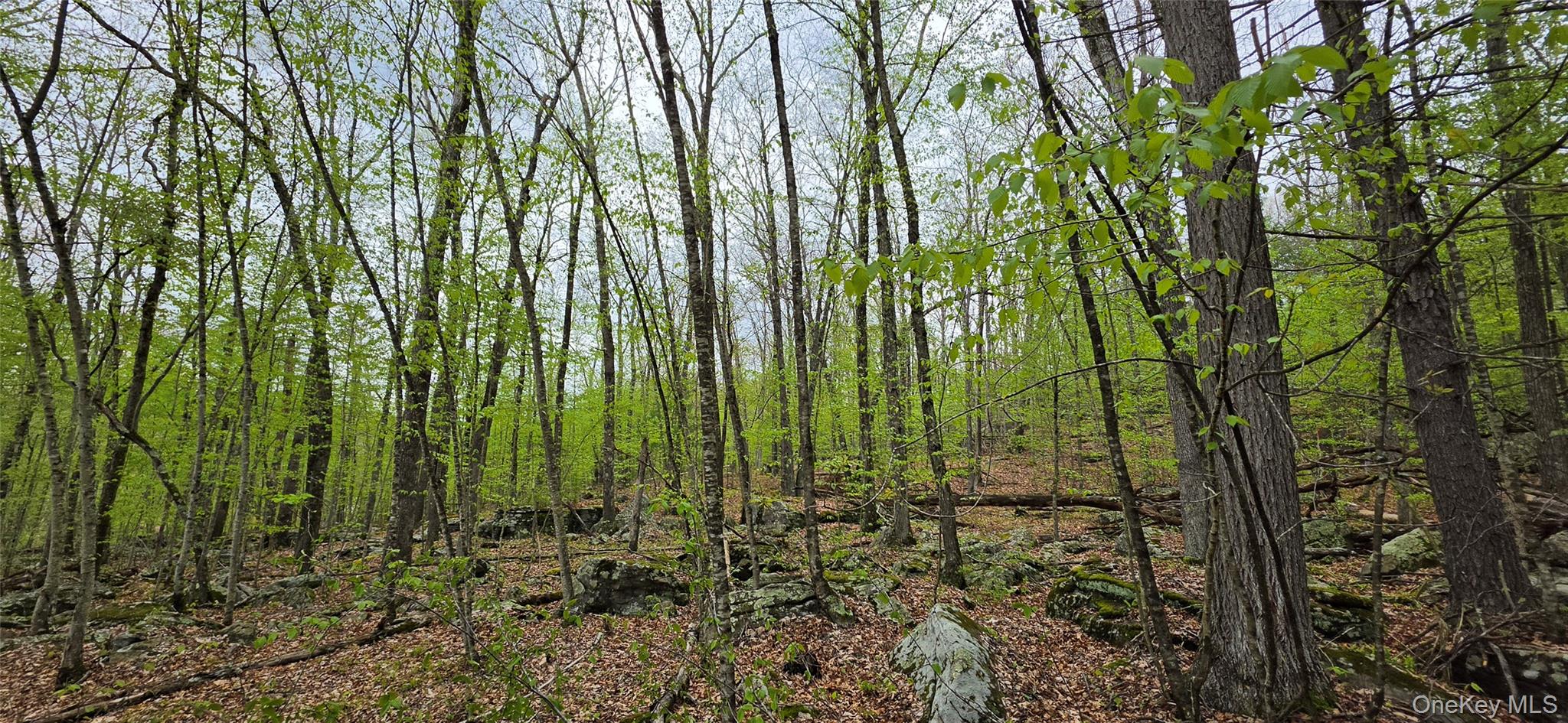 Lot 23.21 State Route 97 – For Sale photo 20