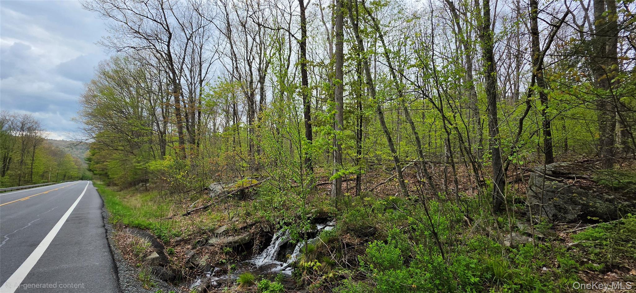 Lot 23.21 State Route 97 – For Sale photo 25