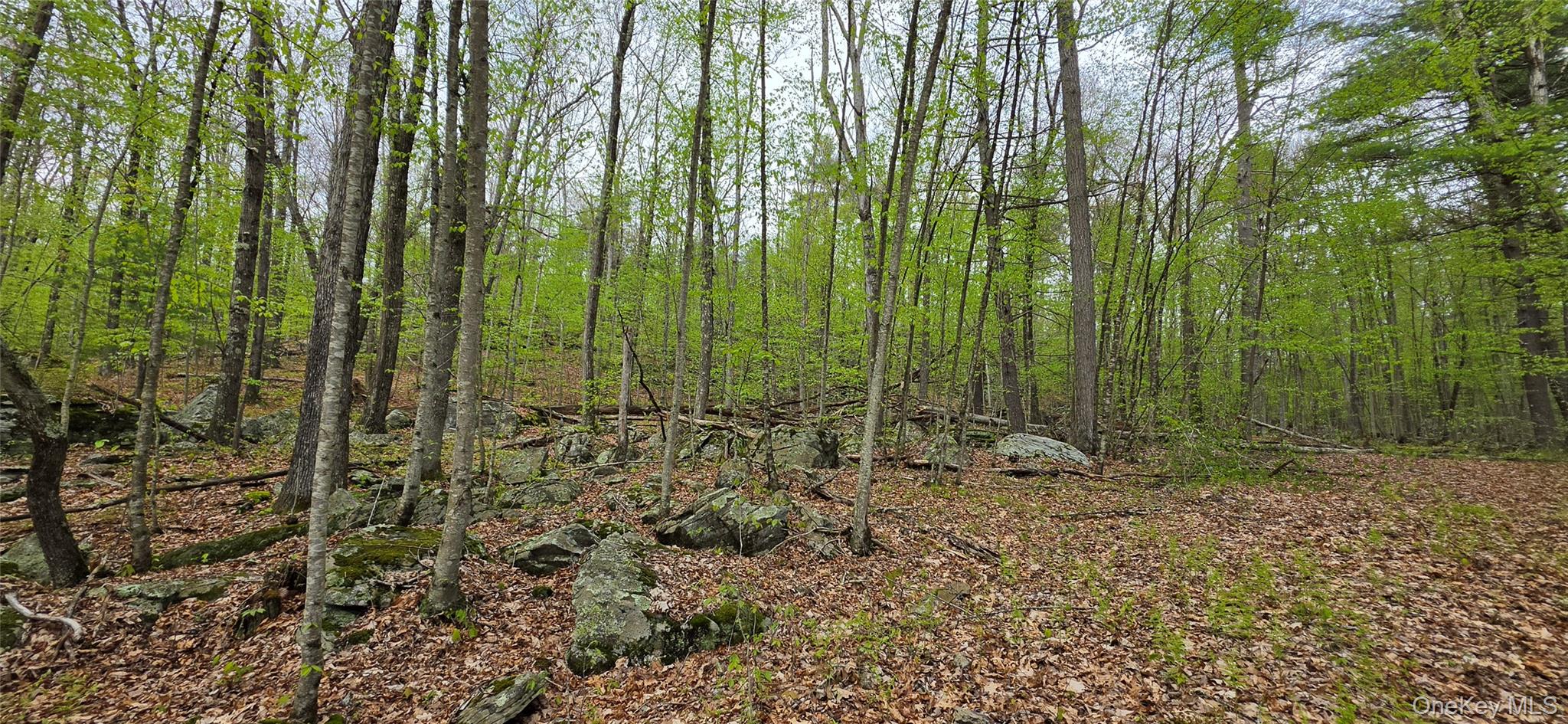Lot 23.21 State Route 97 – For Sale photo 9