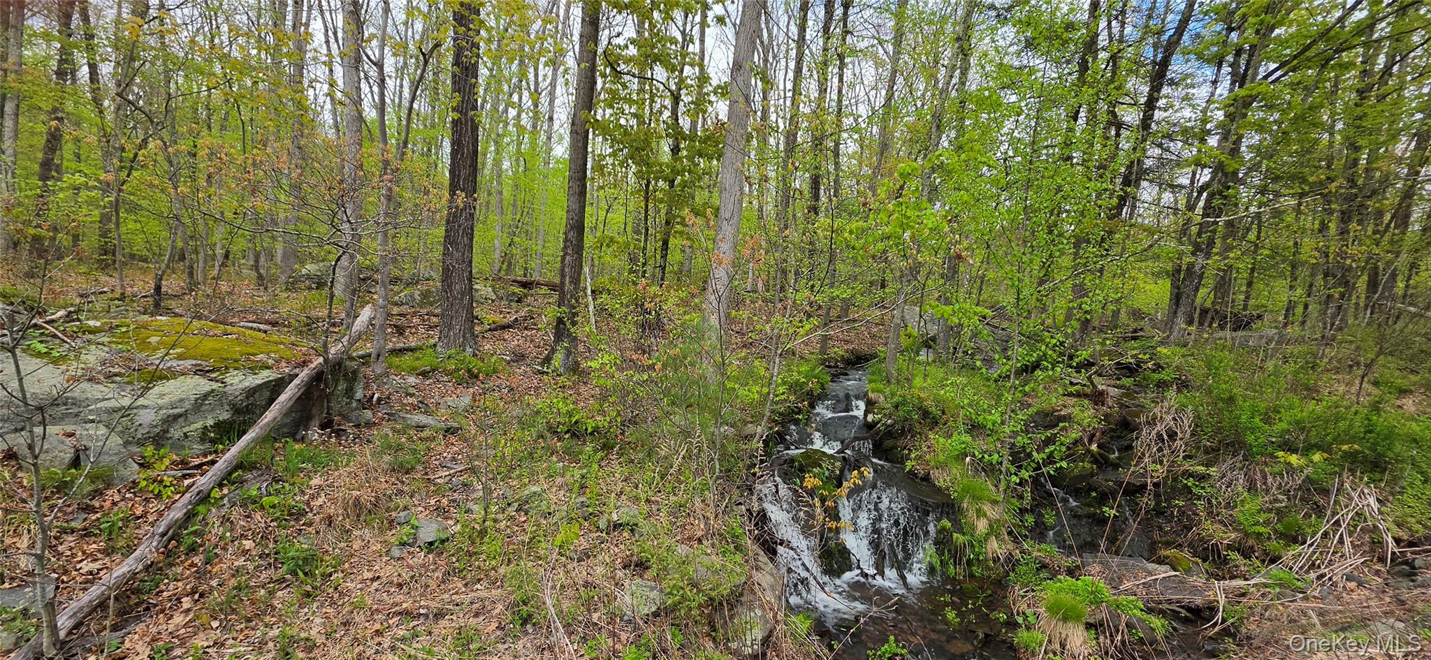 Lot 23.21 State Route 97 – For Sale photo 23