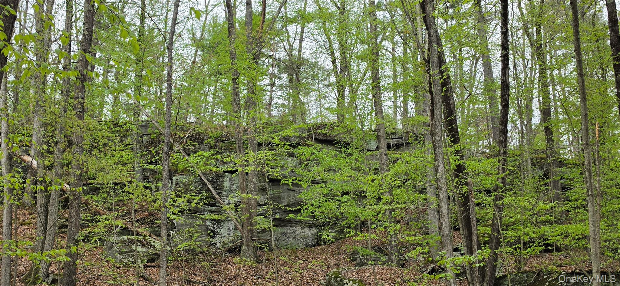 Lot 23.21 State Route 97 – For Sale photo 14
