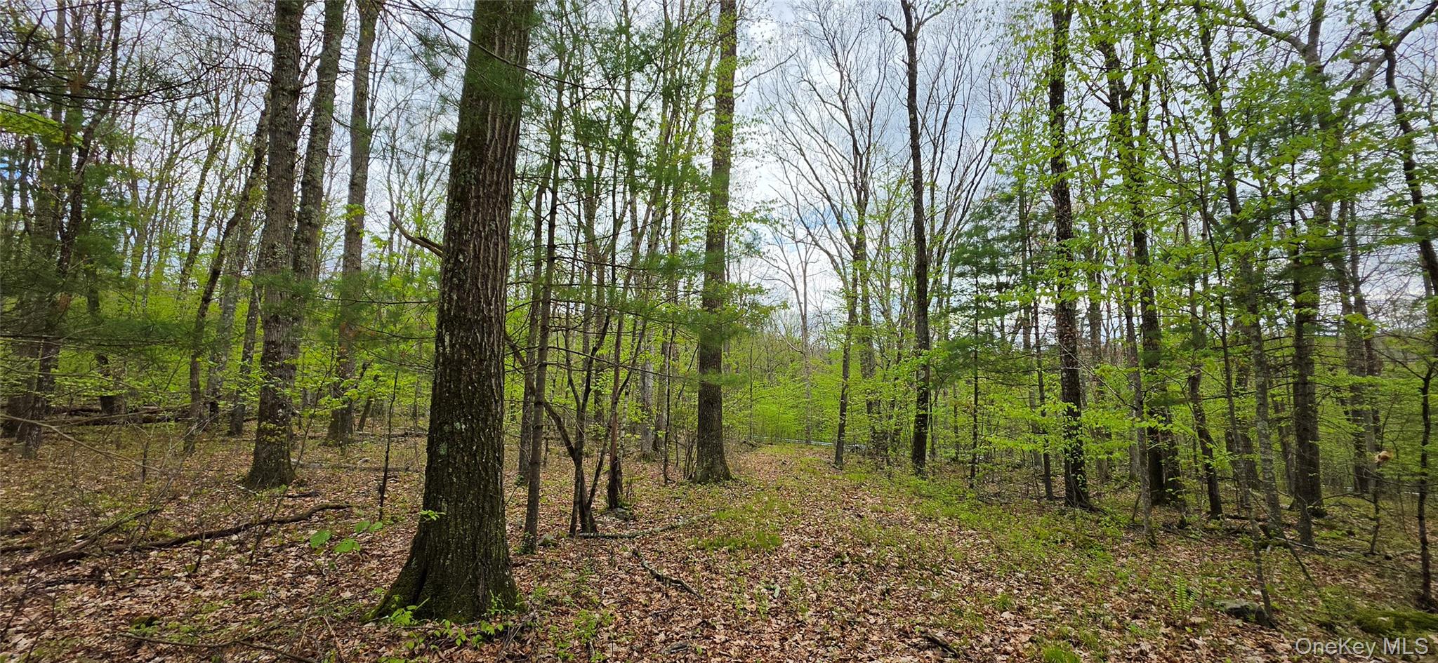 Lot 23.21 State Route 97 – For Sale photo 21