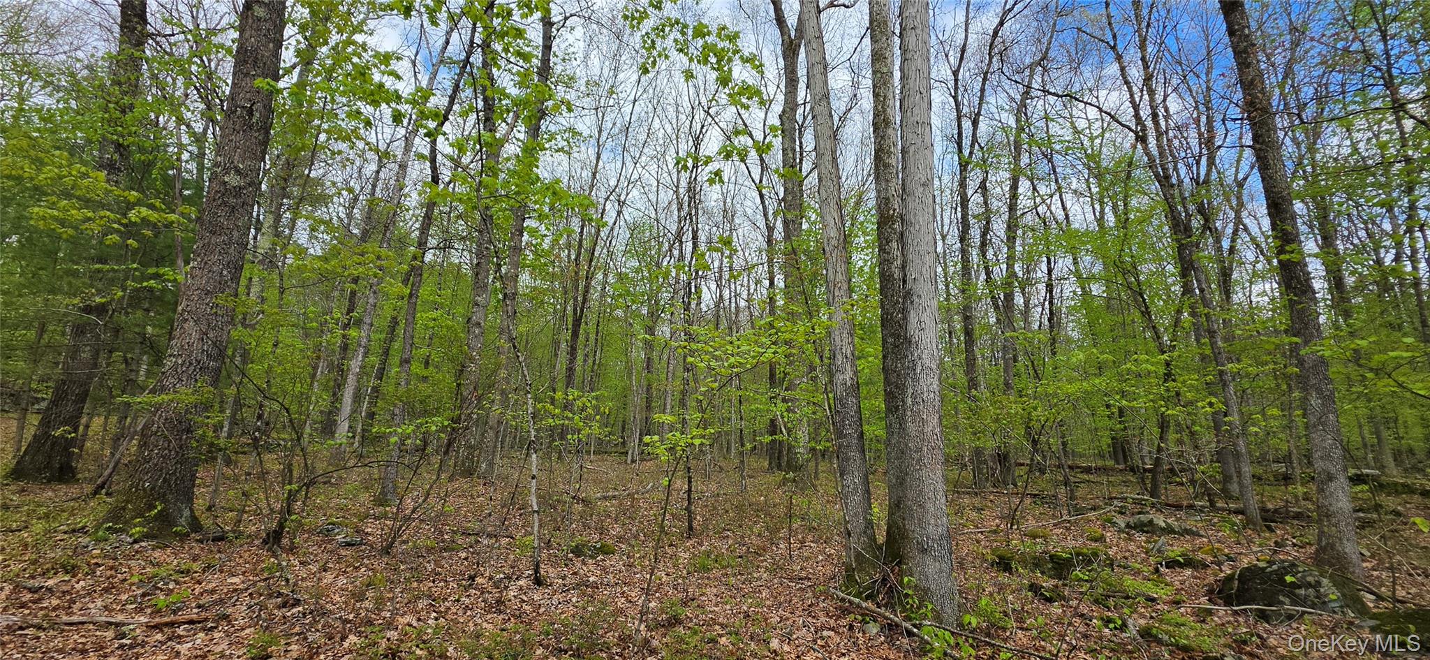Lot 23.21 State Route 97 – For Sale photo 6