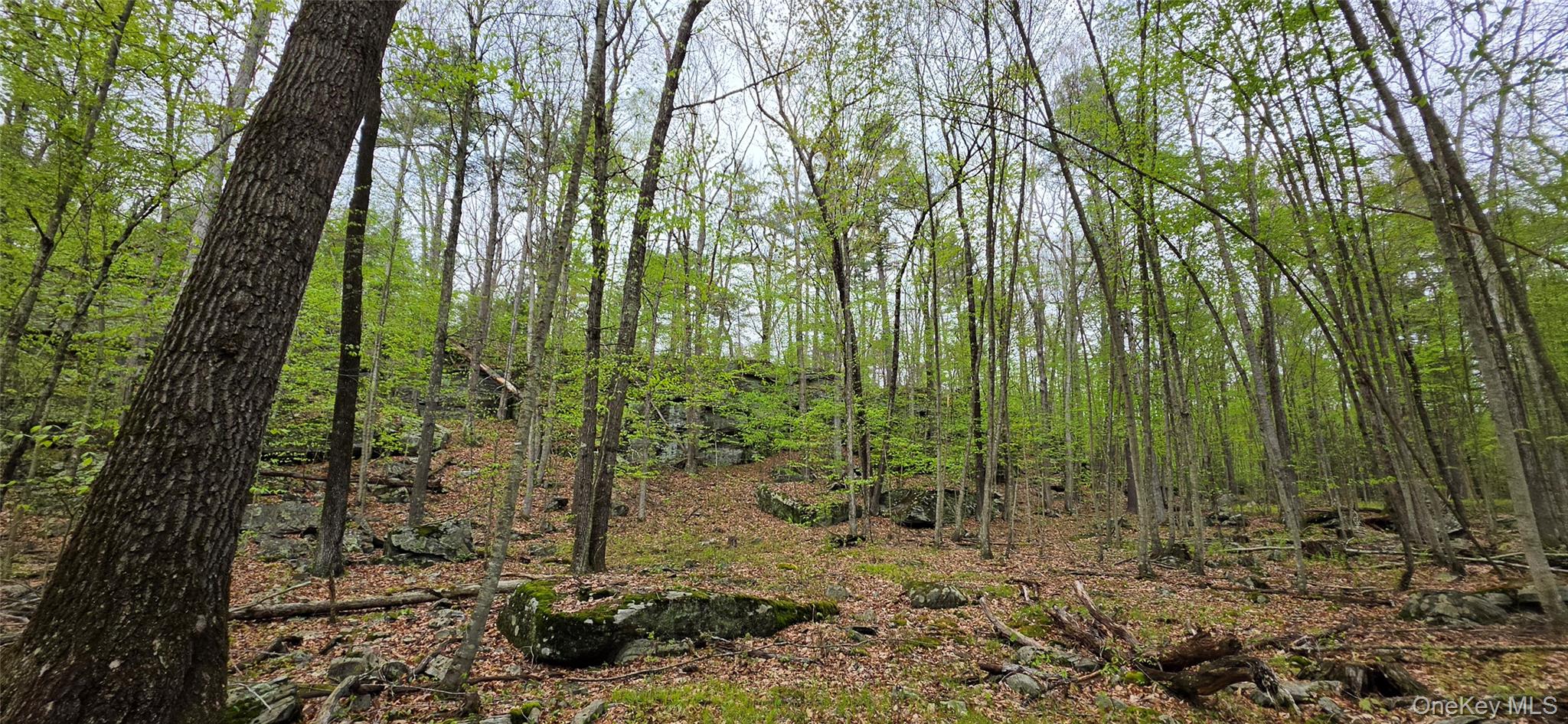 Lot 23.21 State Route 97 – For Sale photo 12
