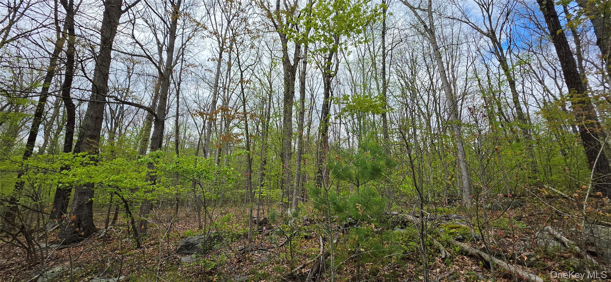 Lot 23.21 State Route 97 – For Sale photo 26
