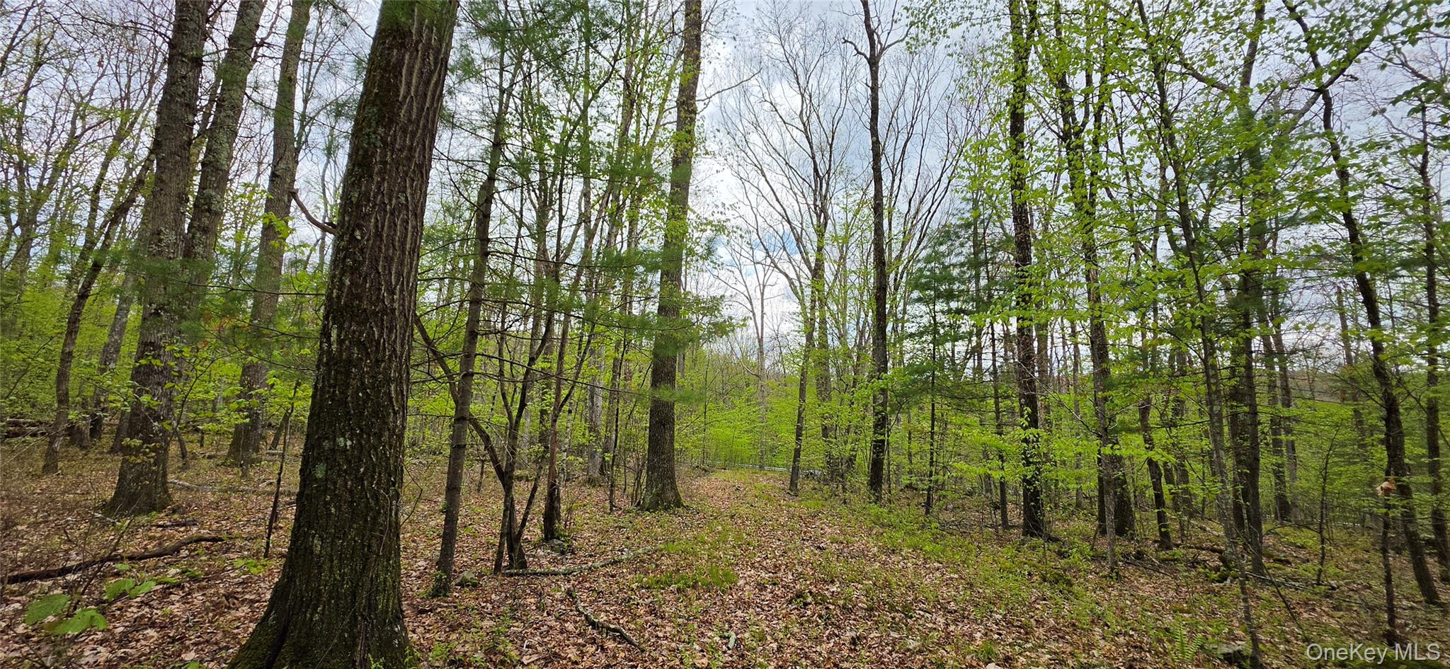 Lot 23.21 State Route 97 – For Sale photo 22