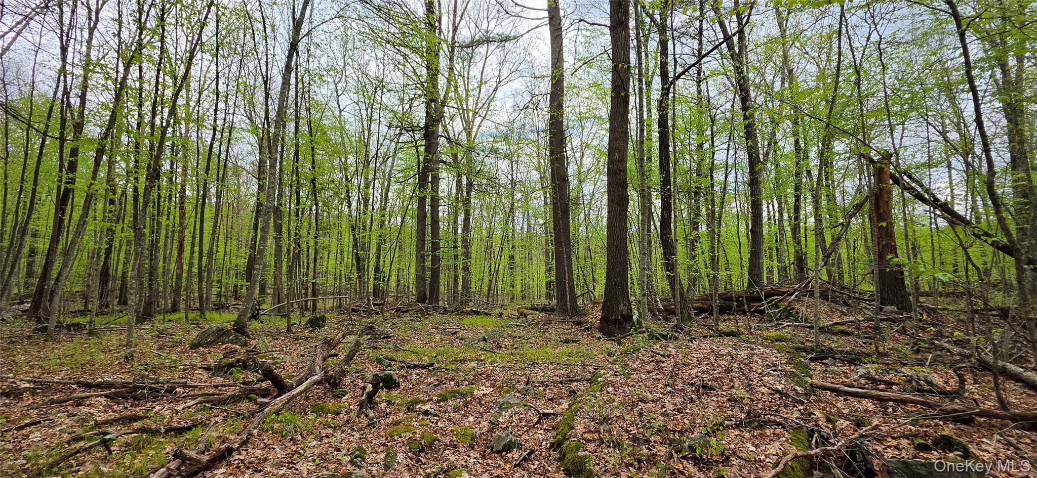 Lot 23.21 State Route 97 – For Sale photo 19