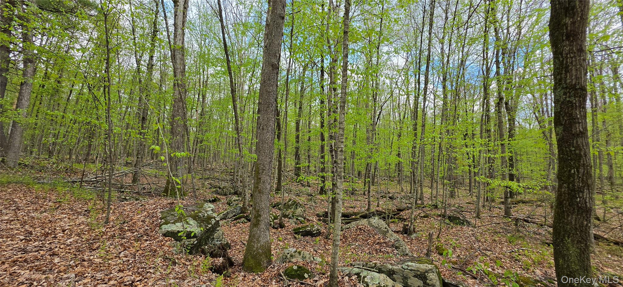 Lot 23.21 State Route 97 – For Sale photo 10