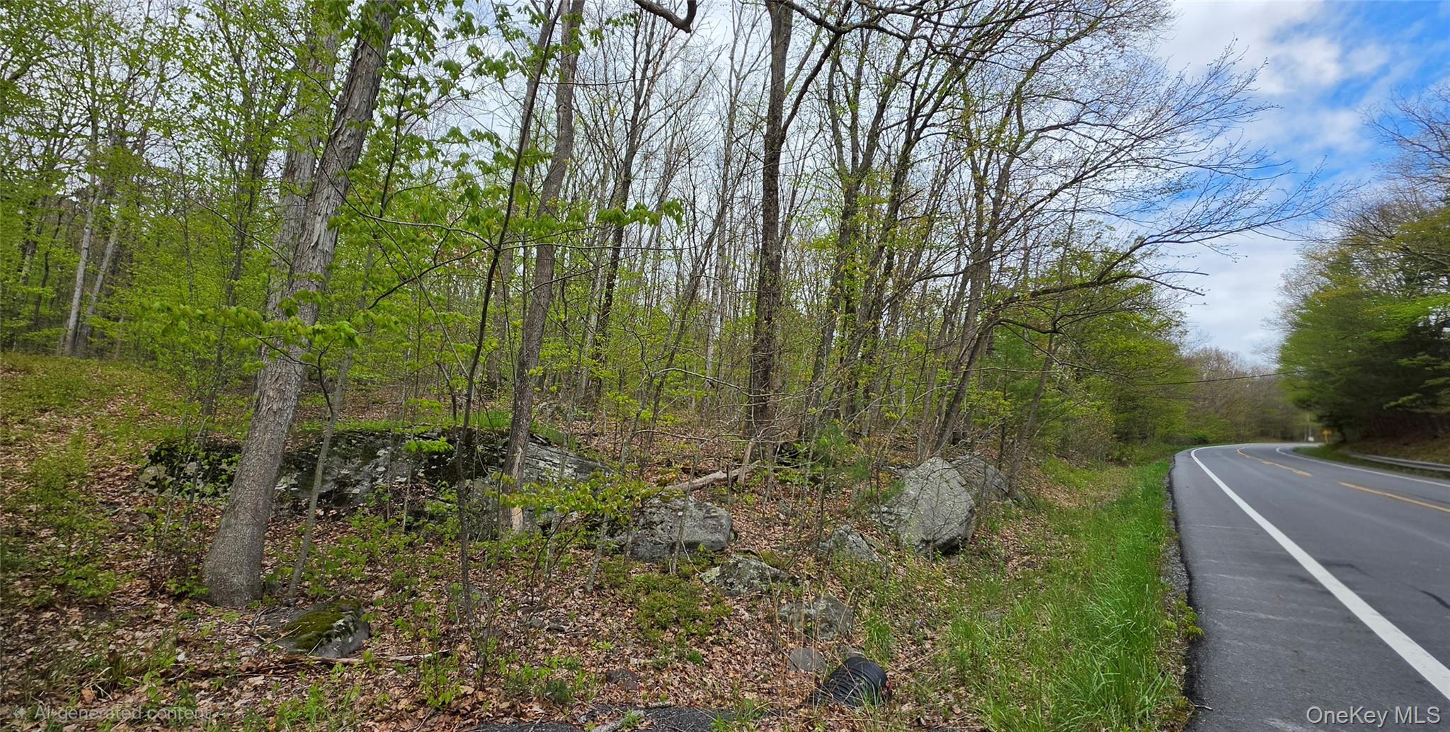 Lot 23.21 State Route 97 – For Sale photo 3