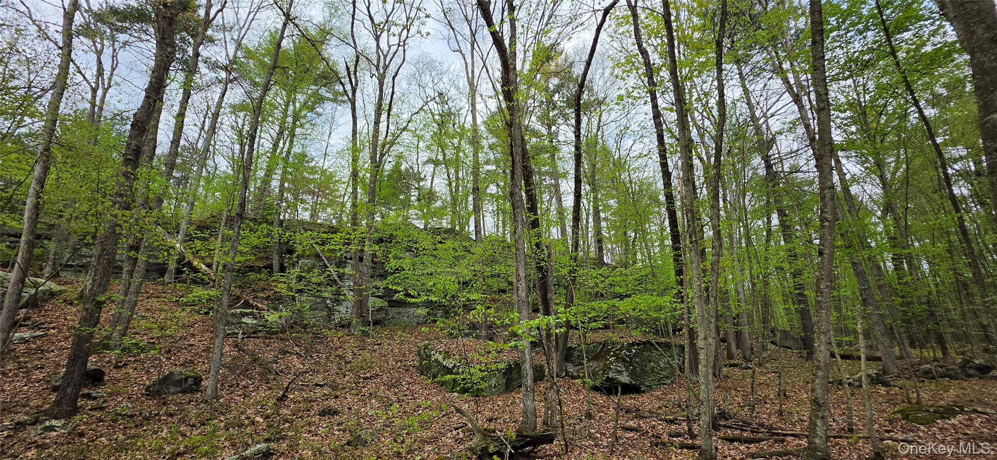 Lot 23.21 State Route 97 – For Sale photo 17