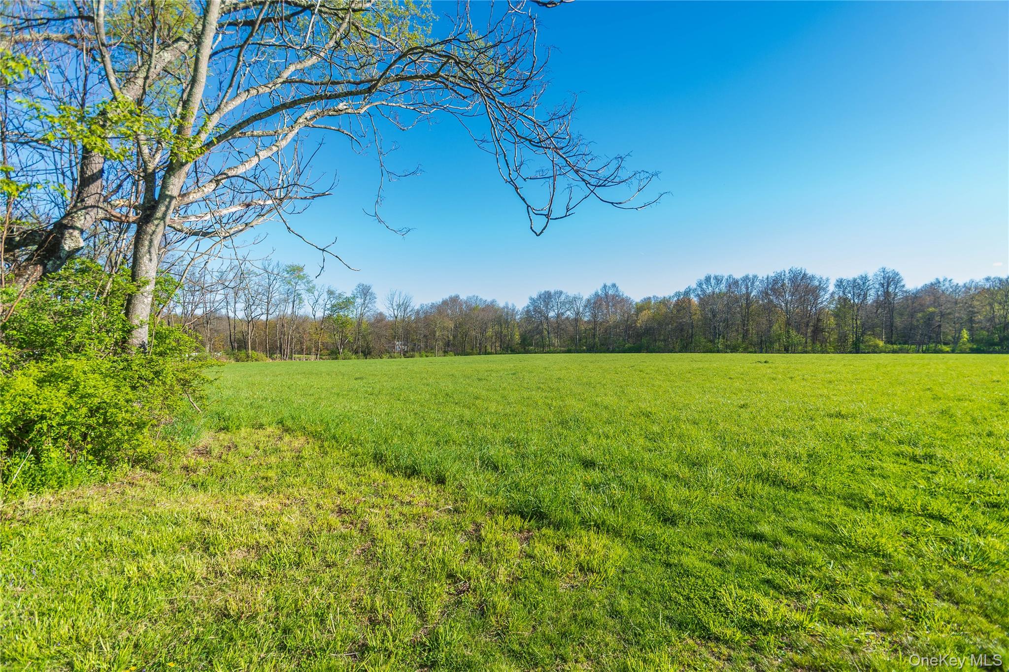 111 Browns Road – For Sale photo 24